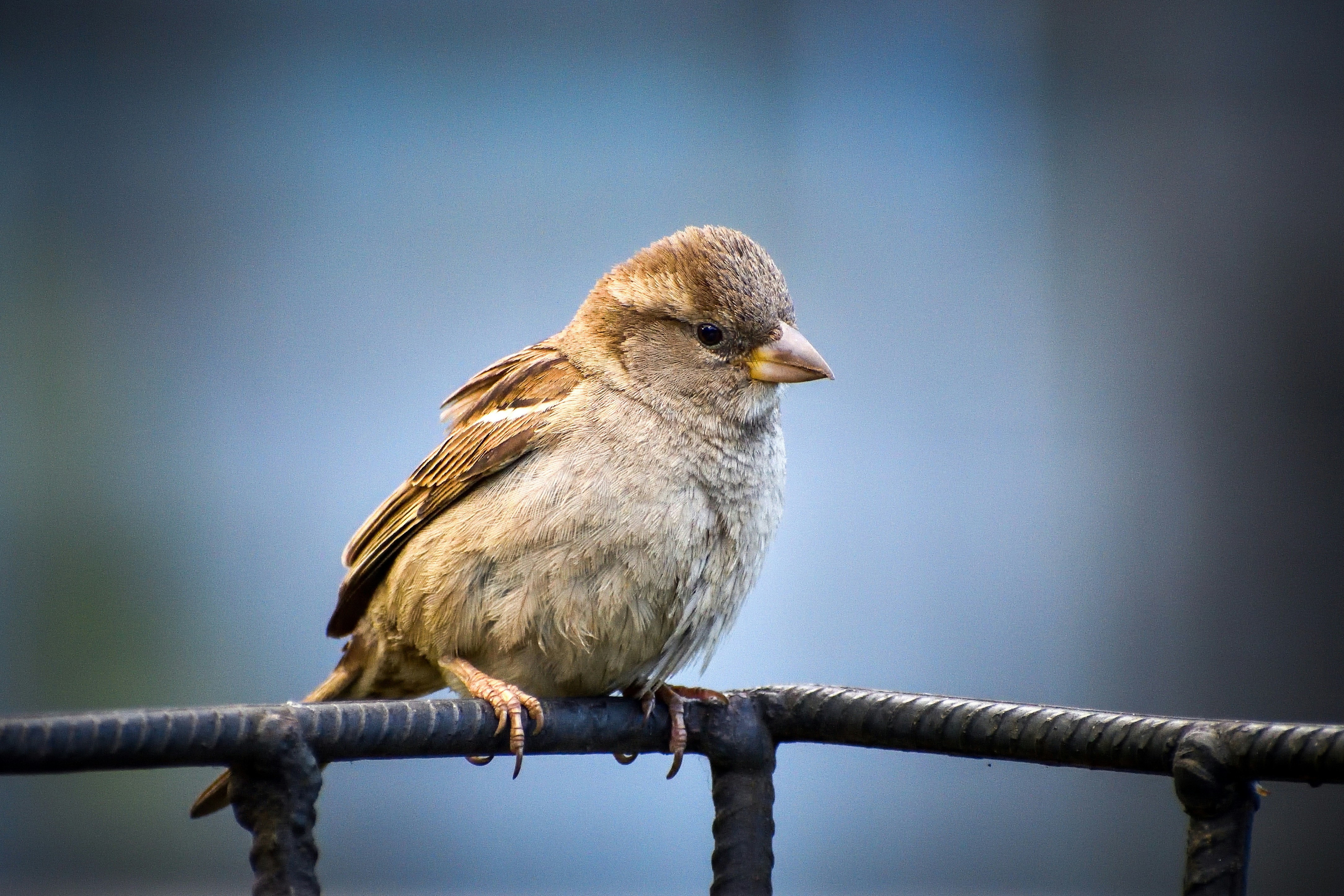 Photo by javiera_neira_f