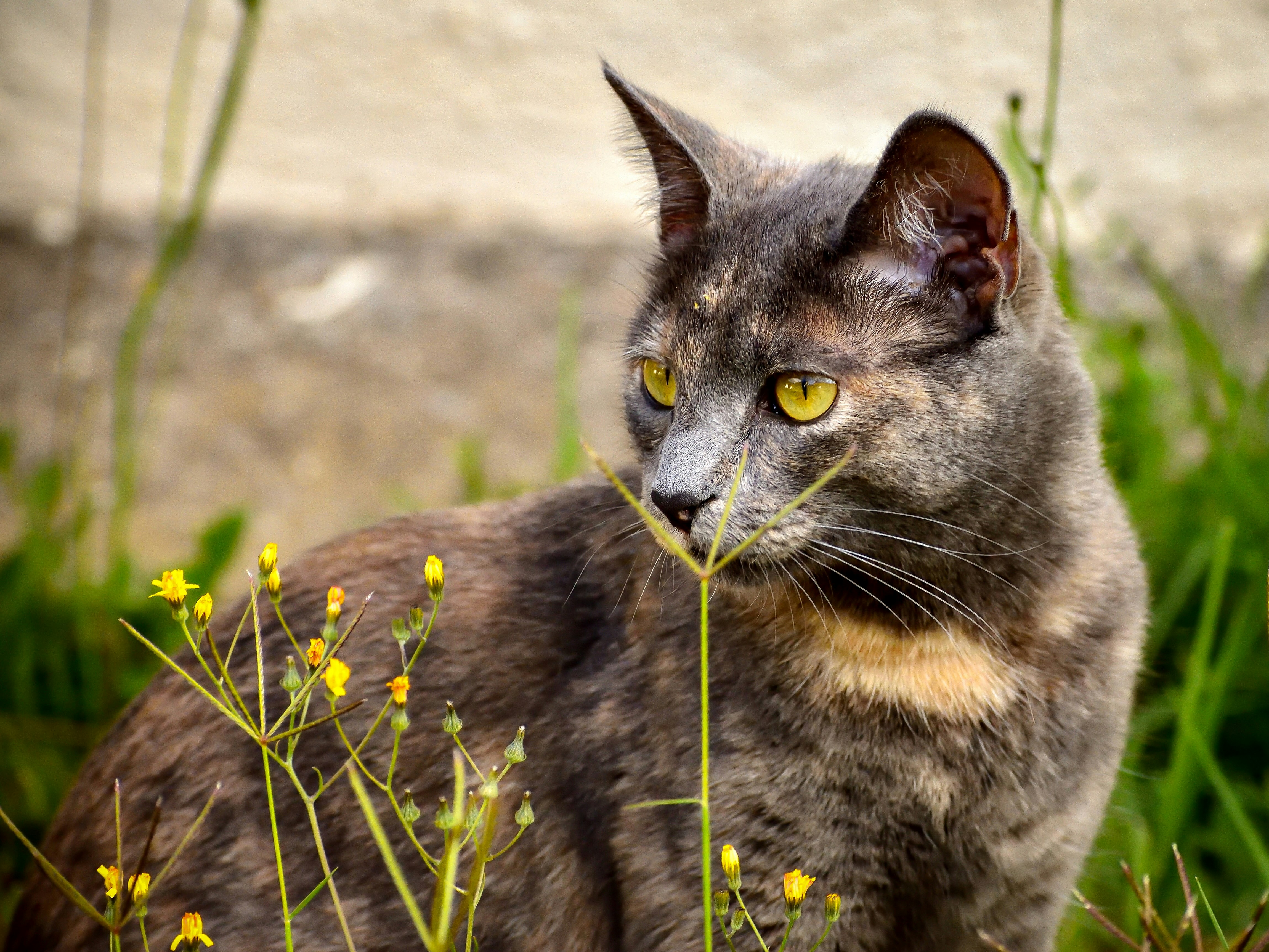 Photo by javiera_neira_f