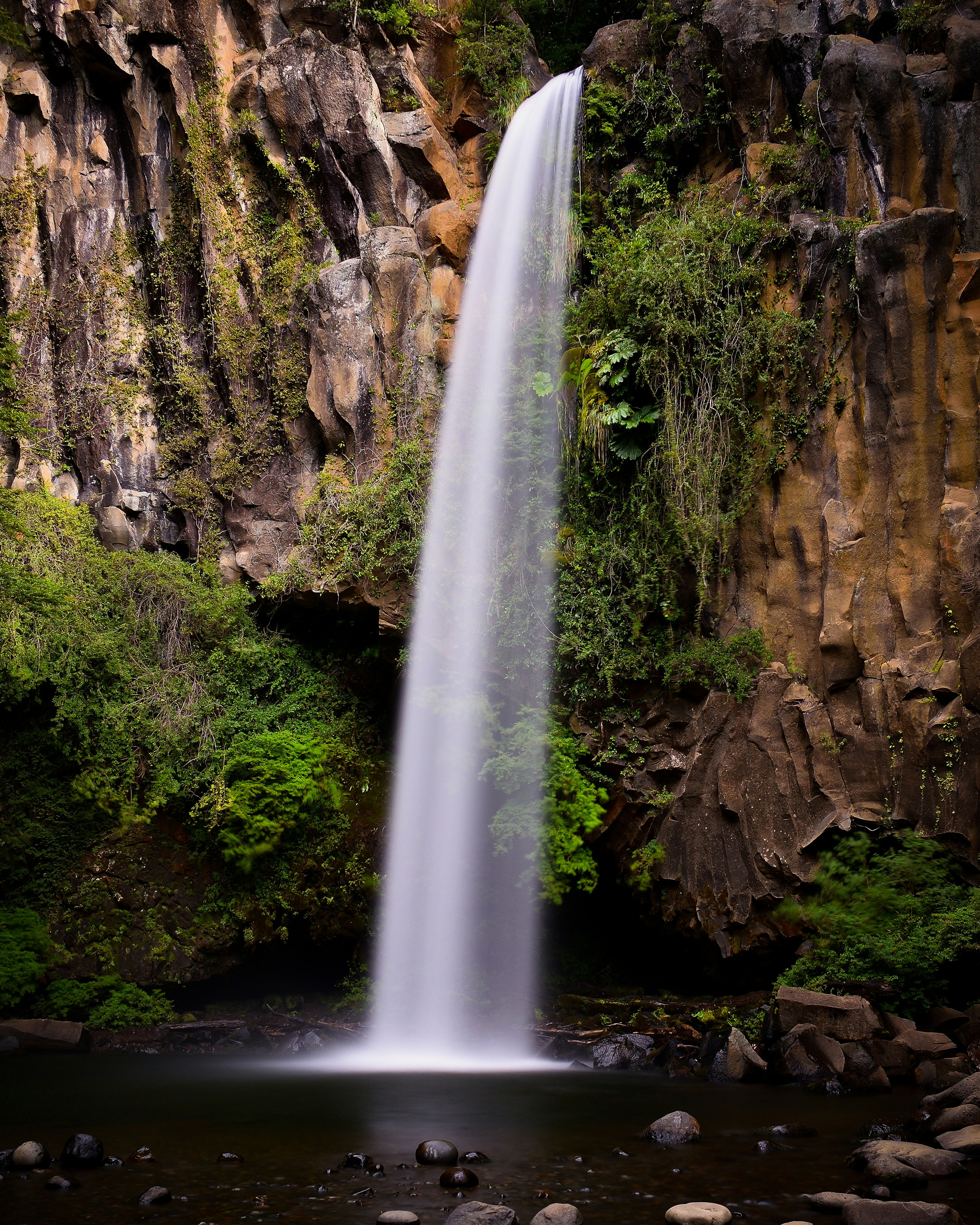 Photo by javiera_neira_f