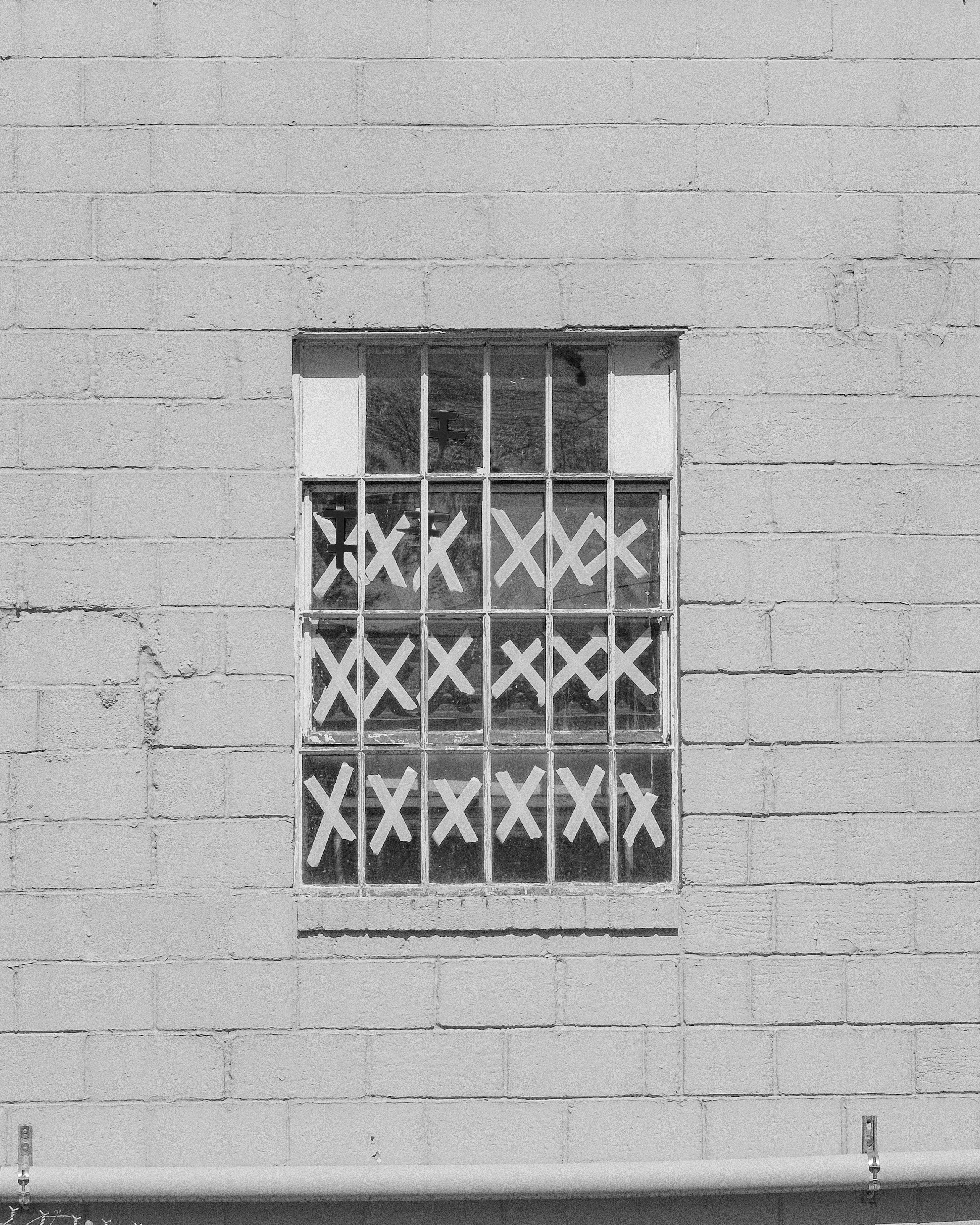 Photo by _zash_capturing