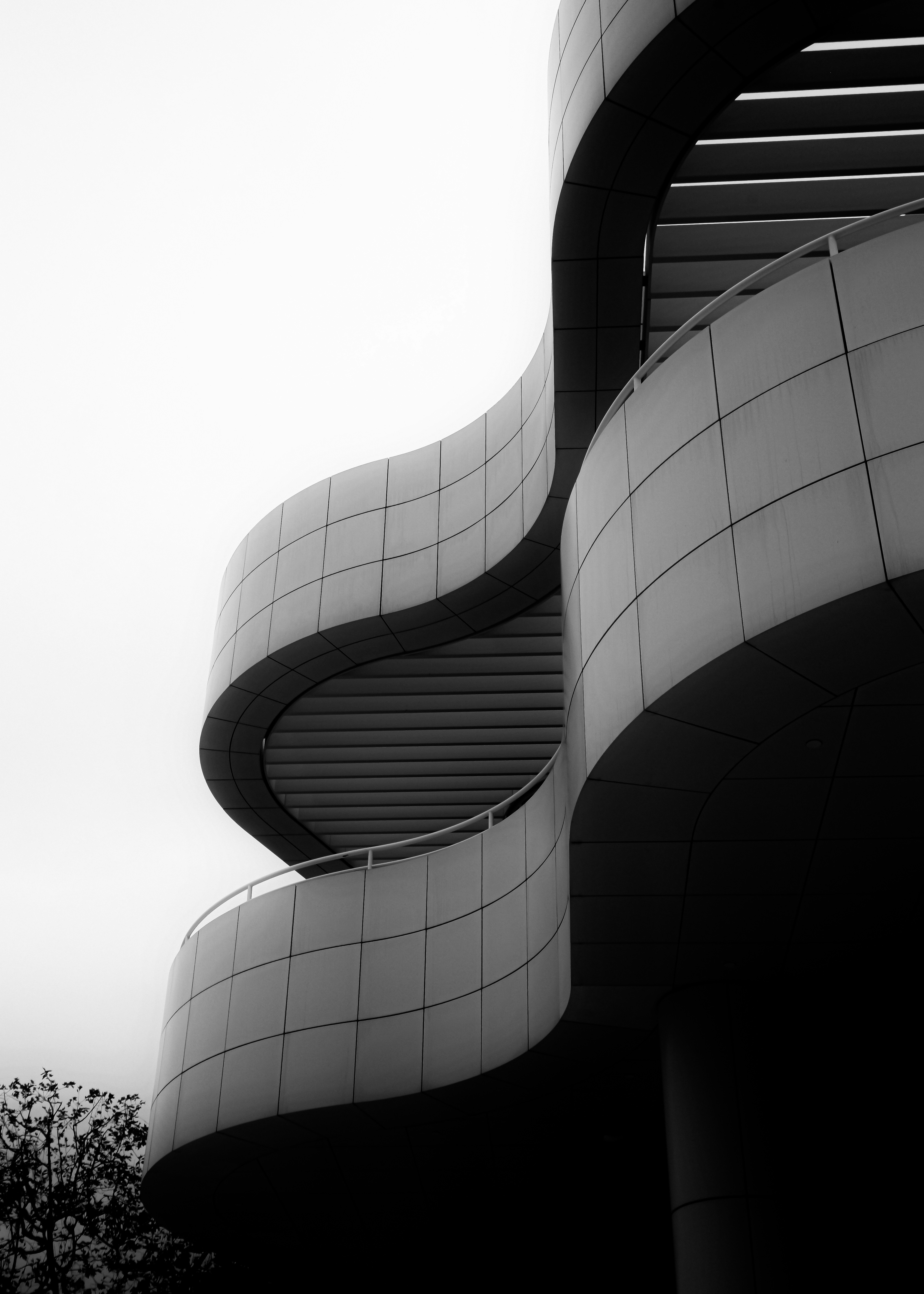 Photo by _zash_capturing