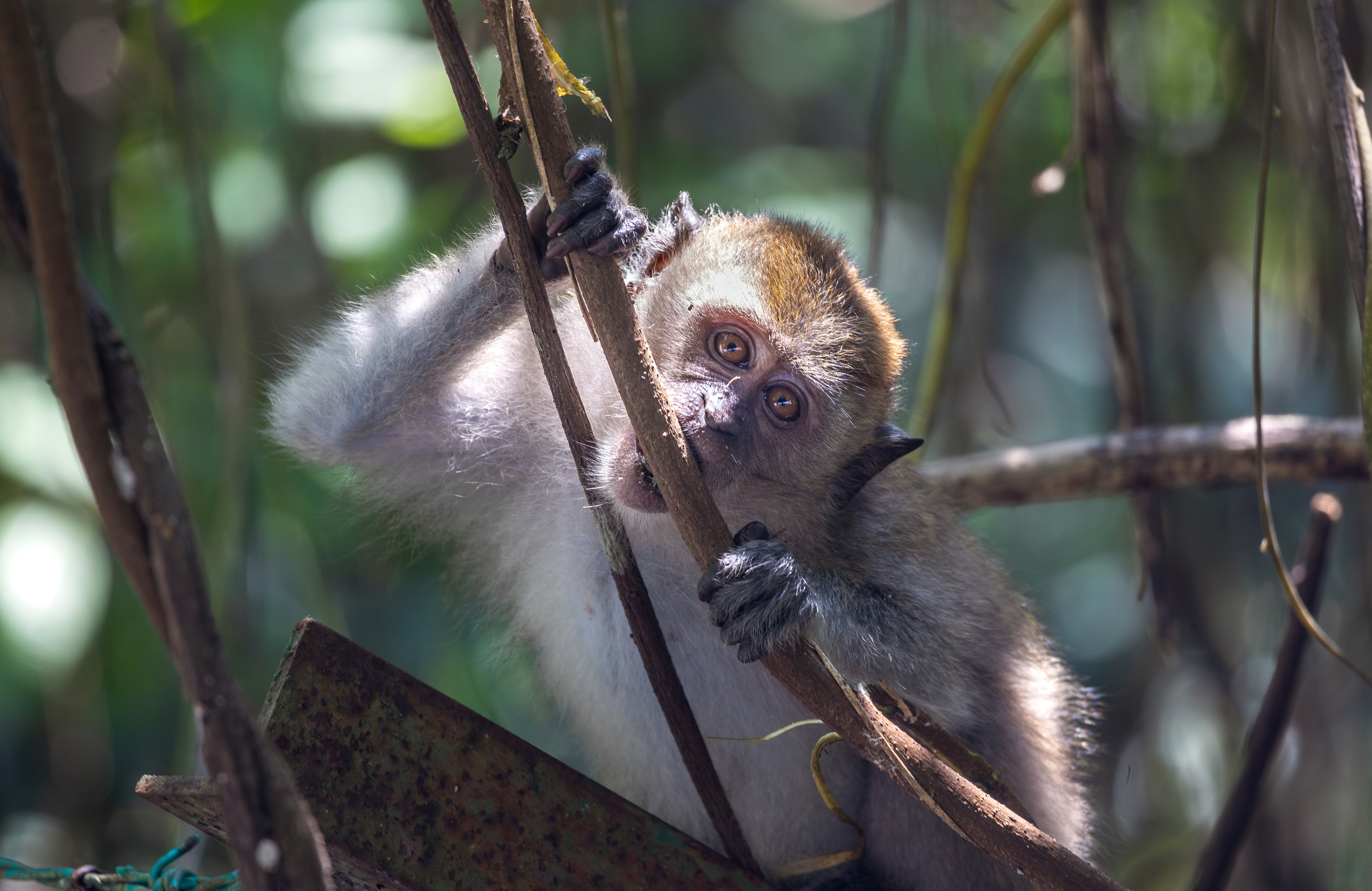 Photo by marekpiwnicki