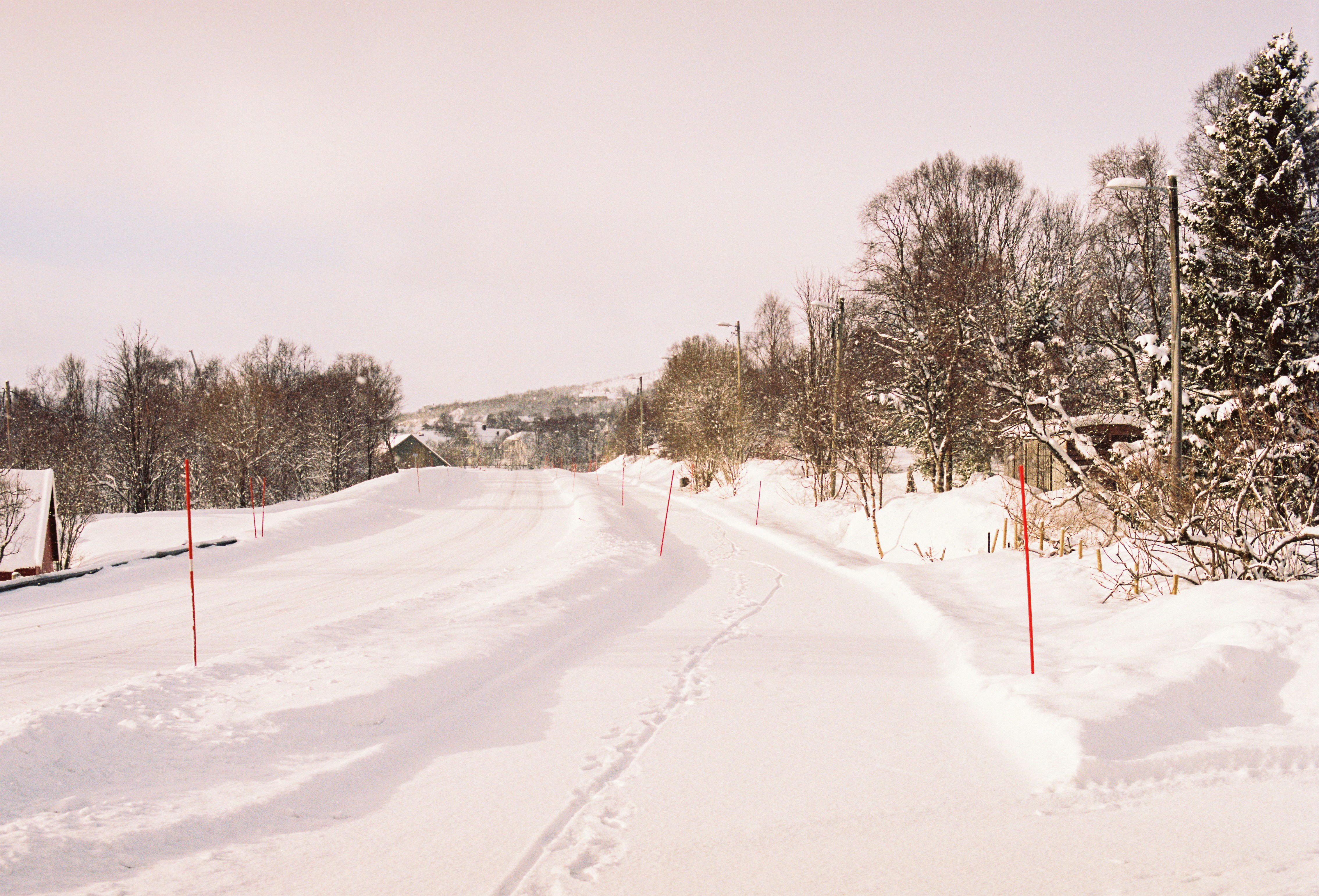 Photo taken on a snowy day in the city of Tromsø, northern Norway, with my Nikon F3 using Kodak Portra 160 film.