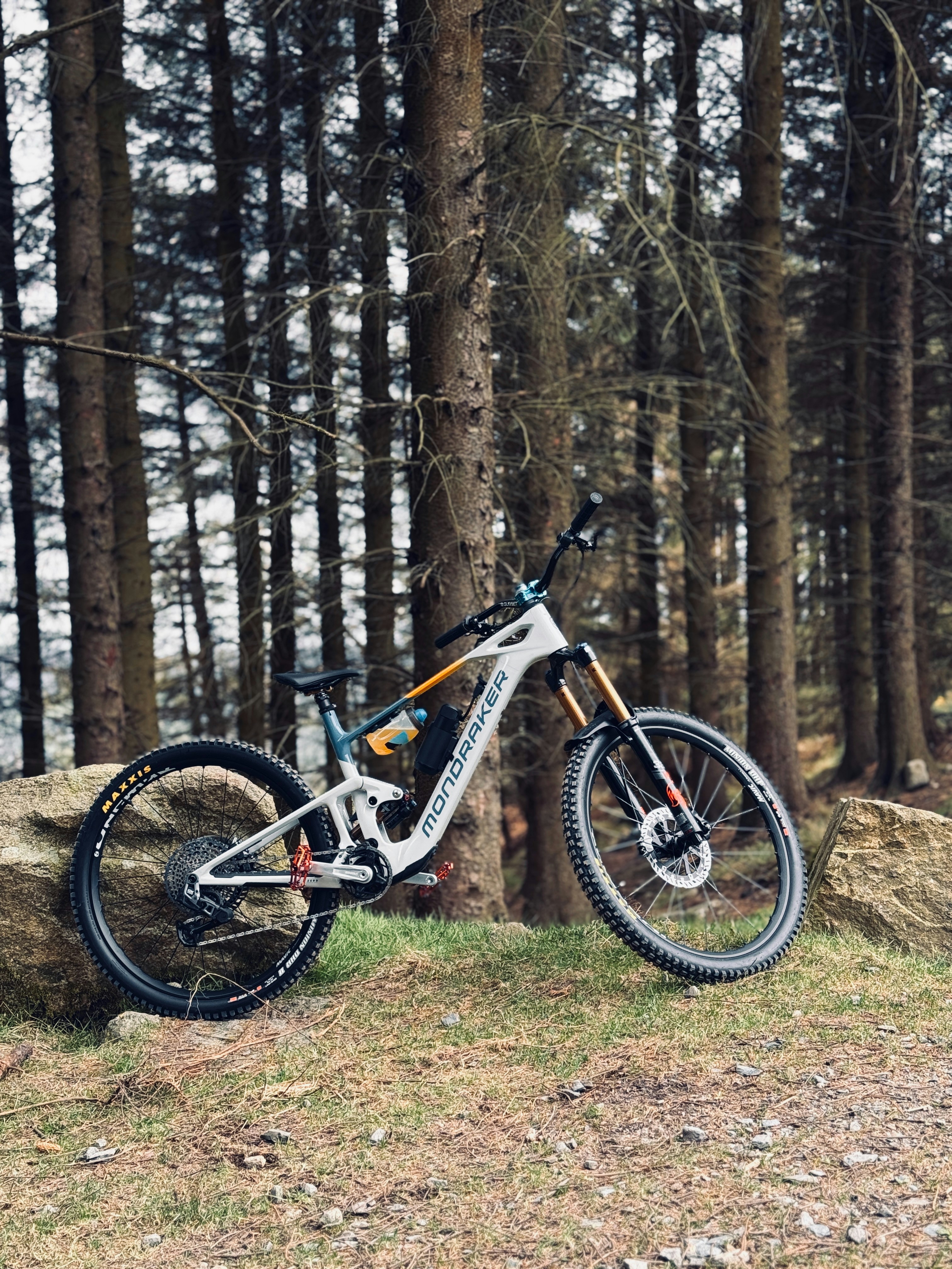 A mountain bike is parked in the forest.