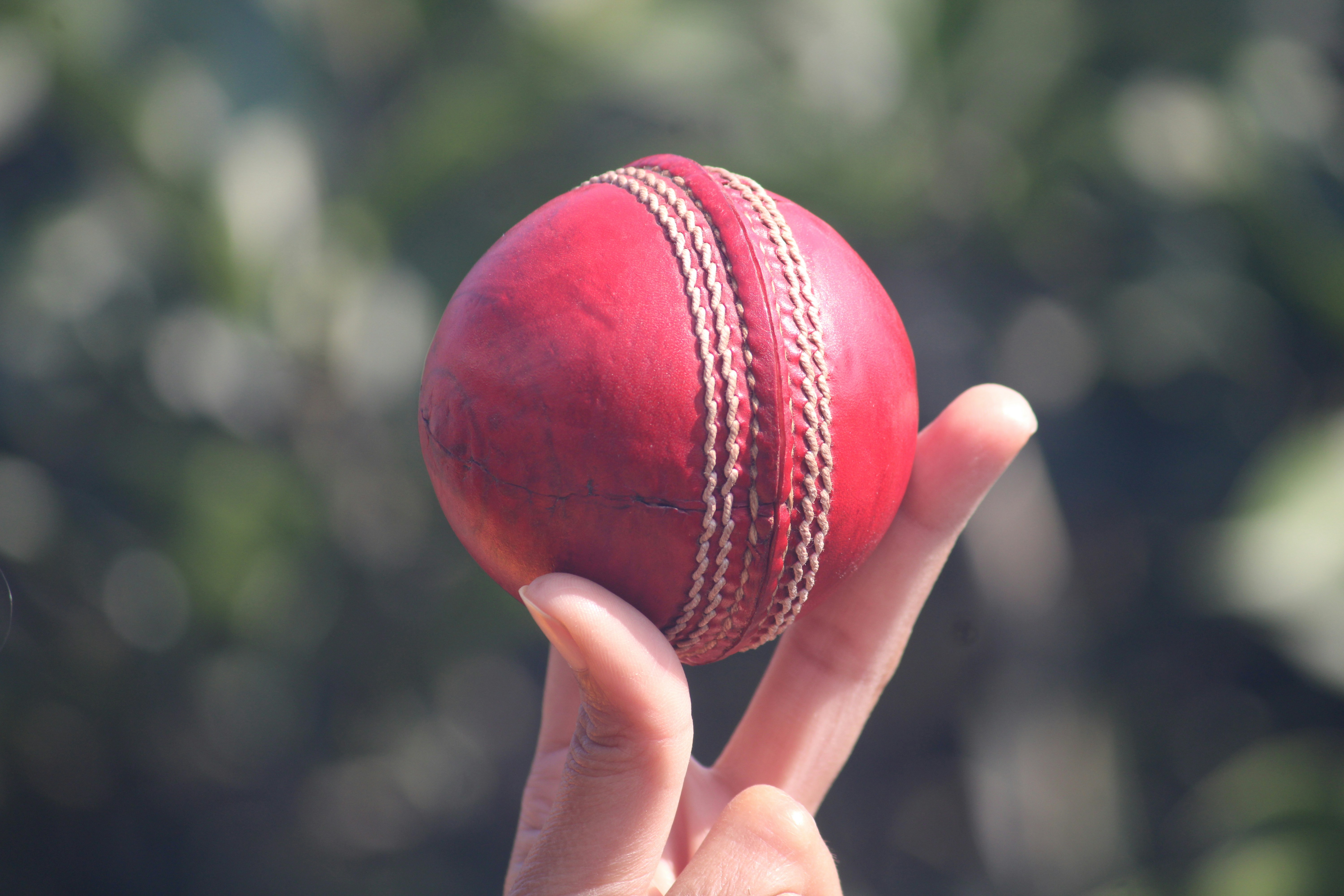 Cricket ball in hand