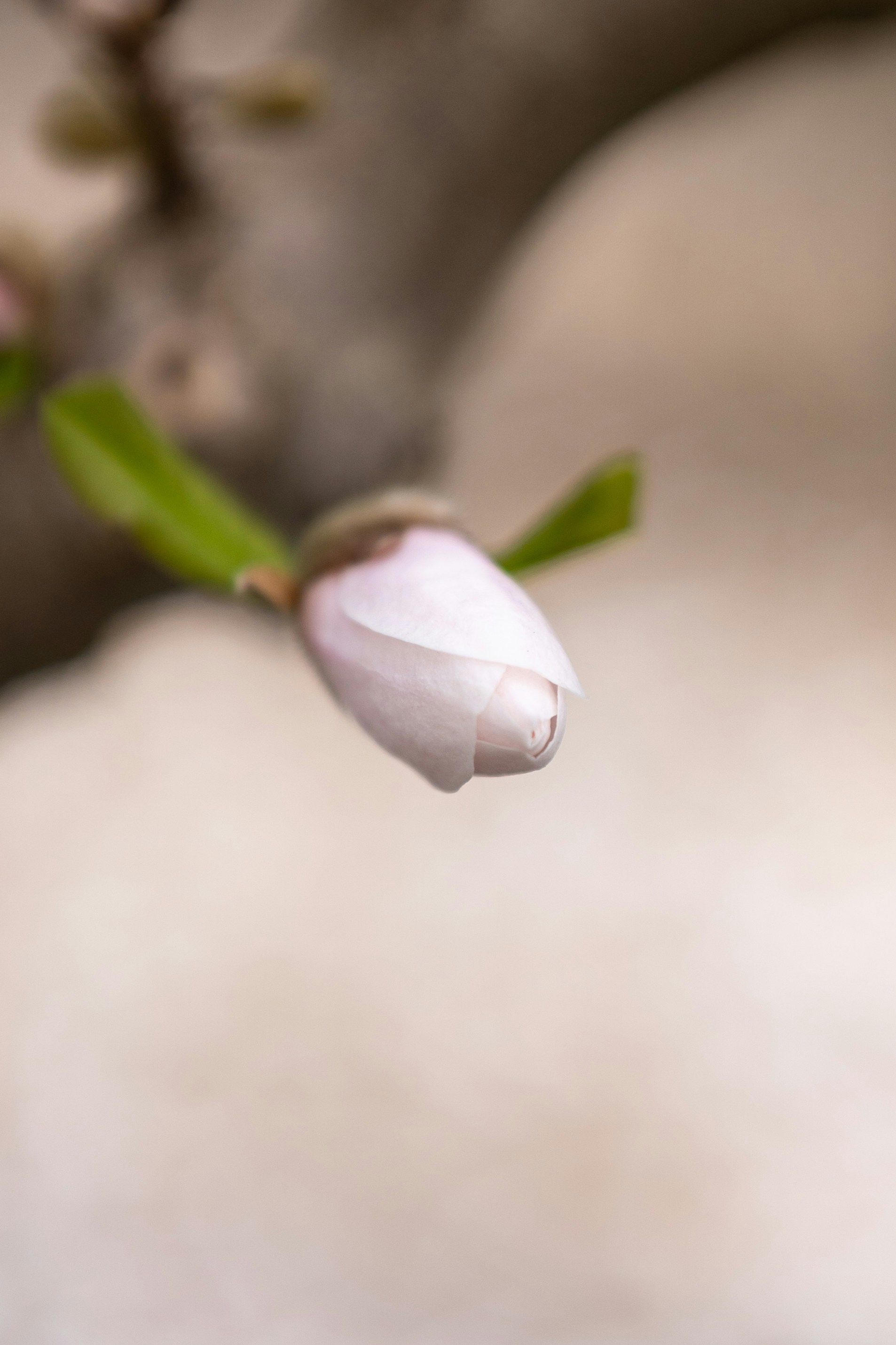 Photo by bangscreative