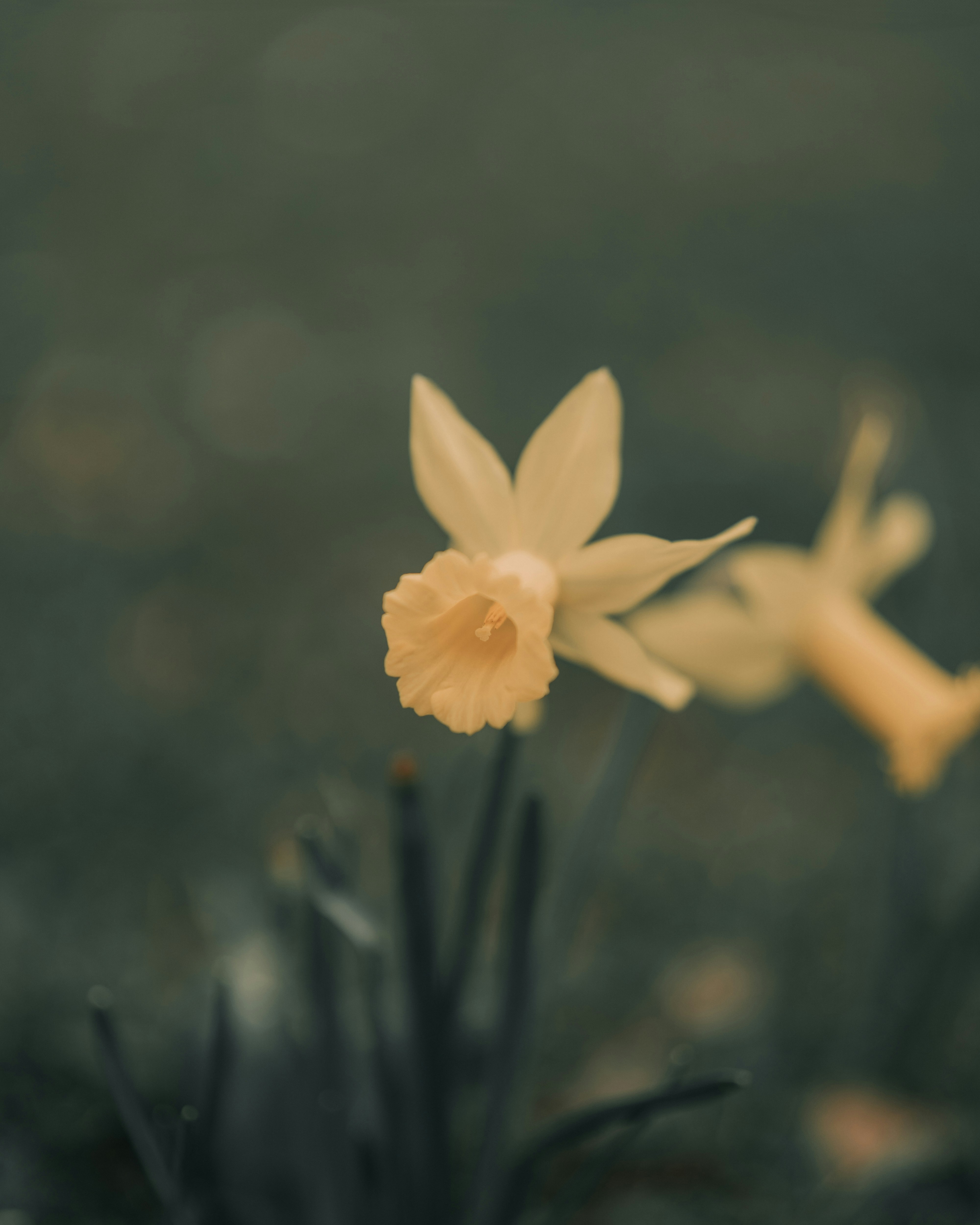 Photo by bangscreative