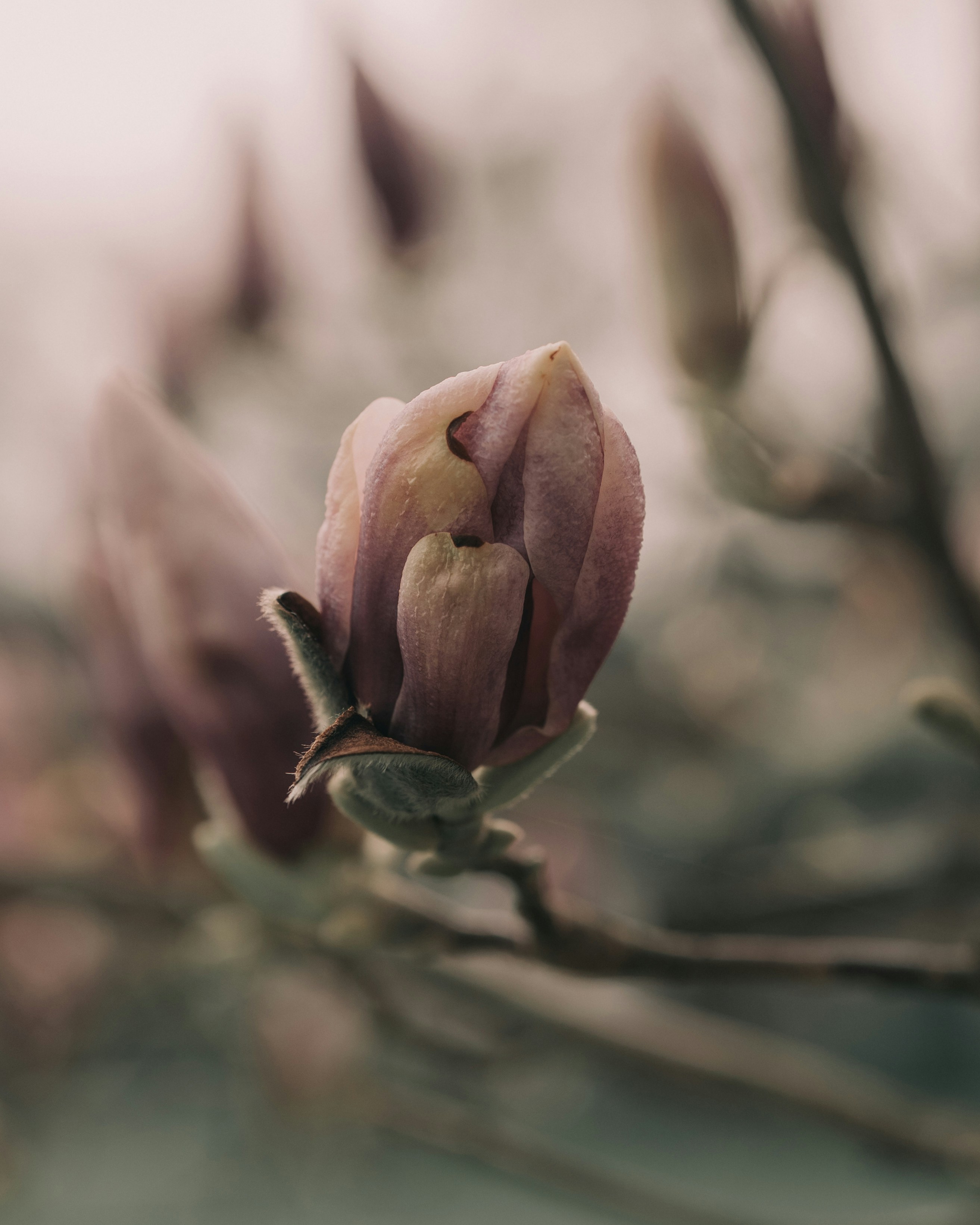 Photo by bangscreative