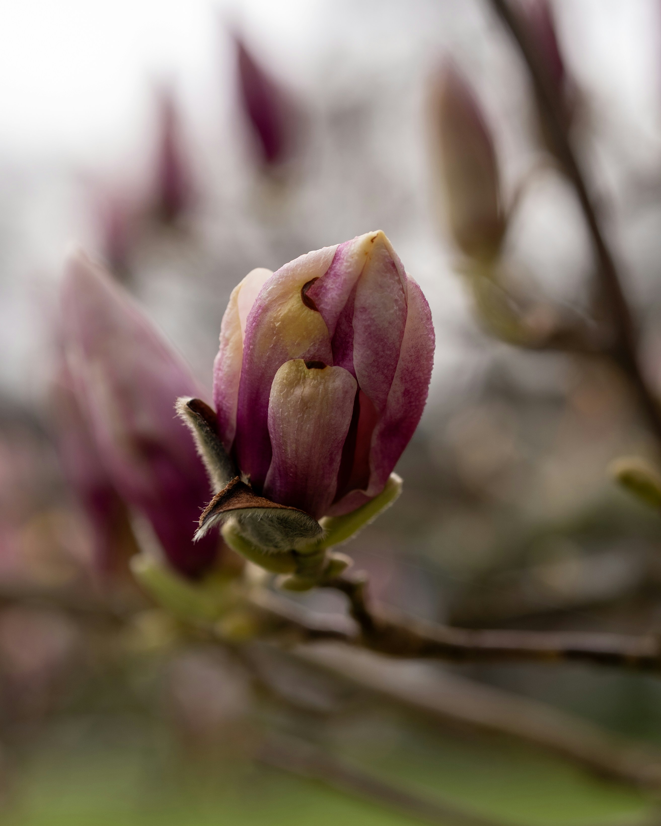 Photo by bangscreative