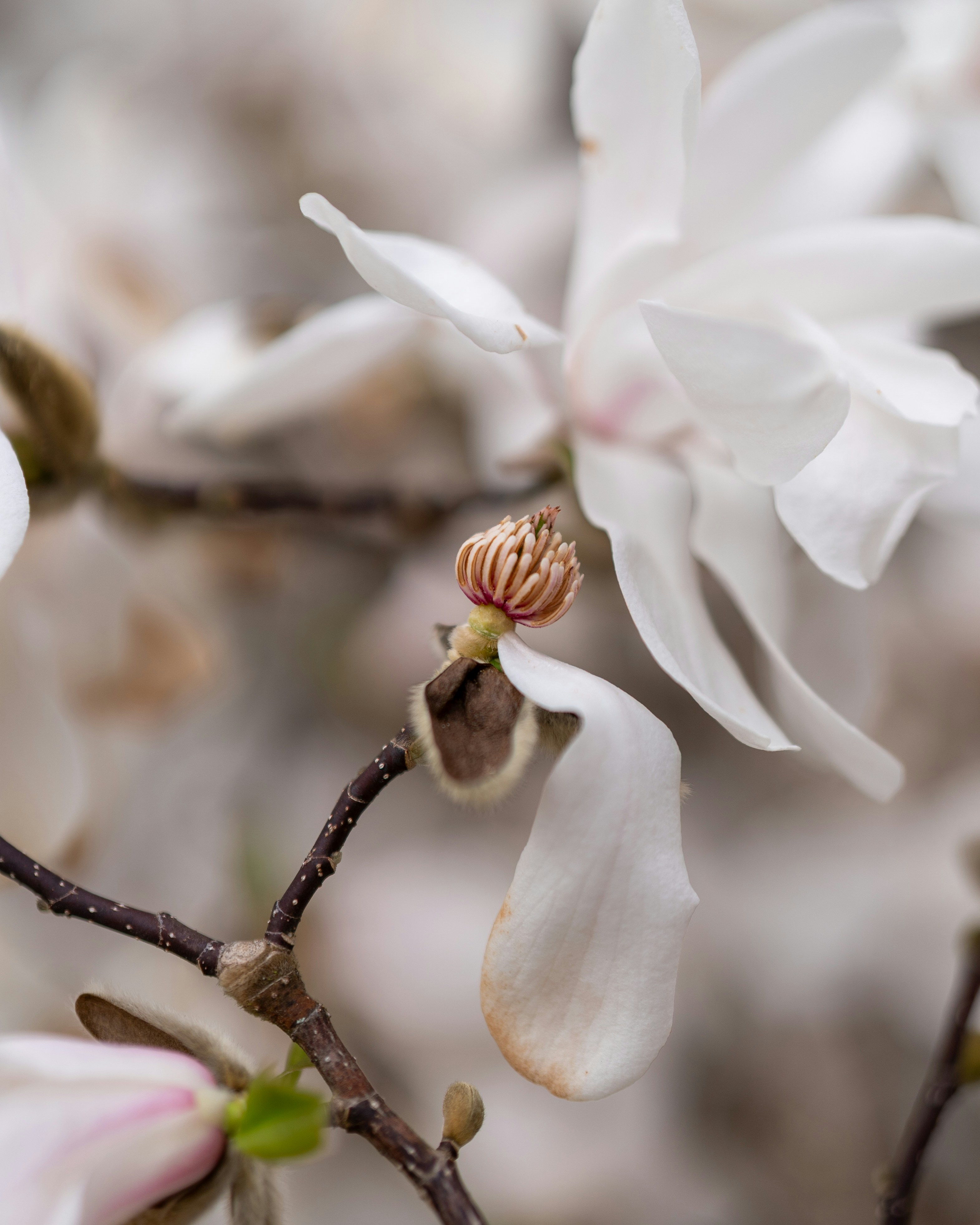 Photo by bangscreative