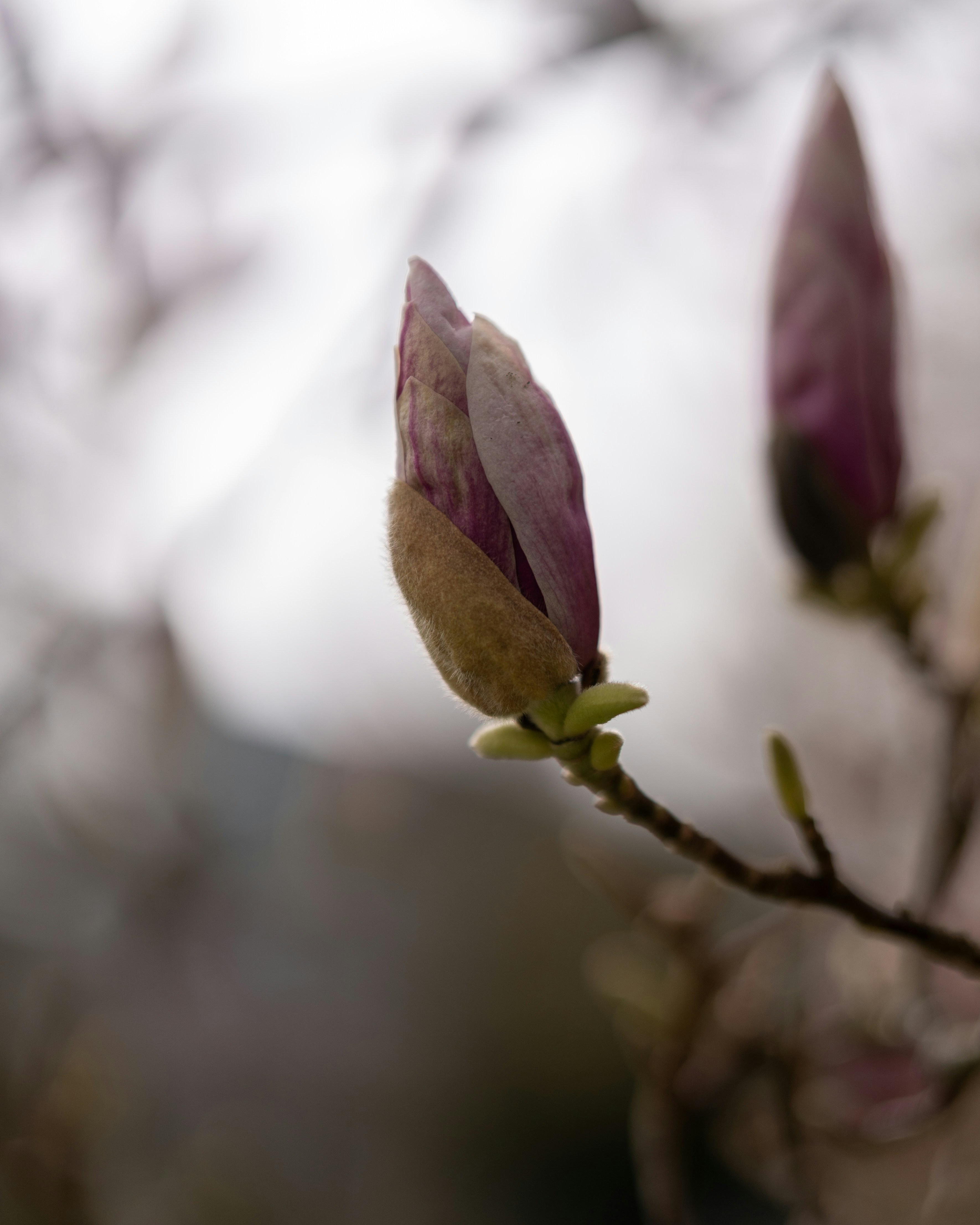 Photo by bangscreative