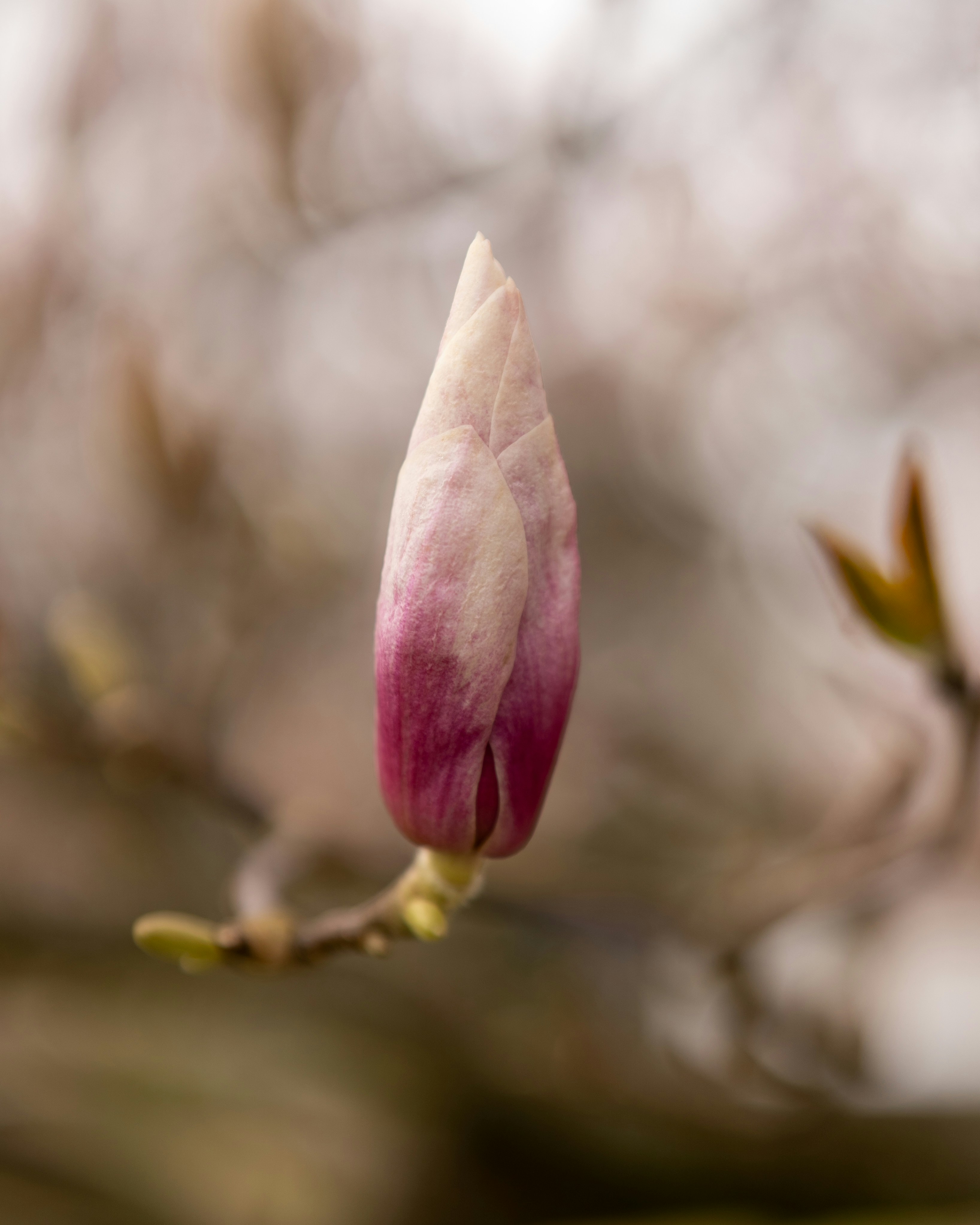 Photo by bangscreative