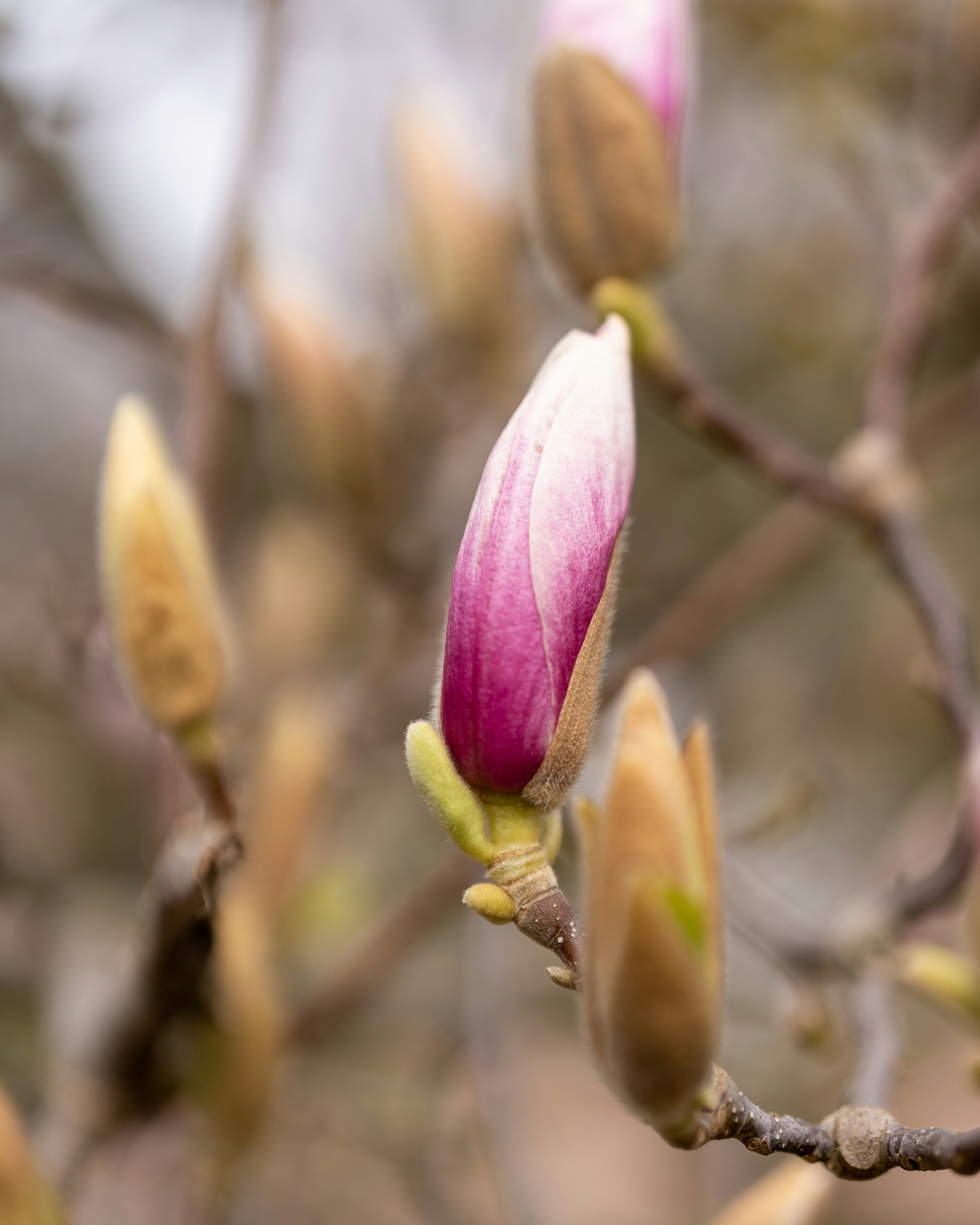 Photo by bangscreative