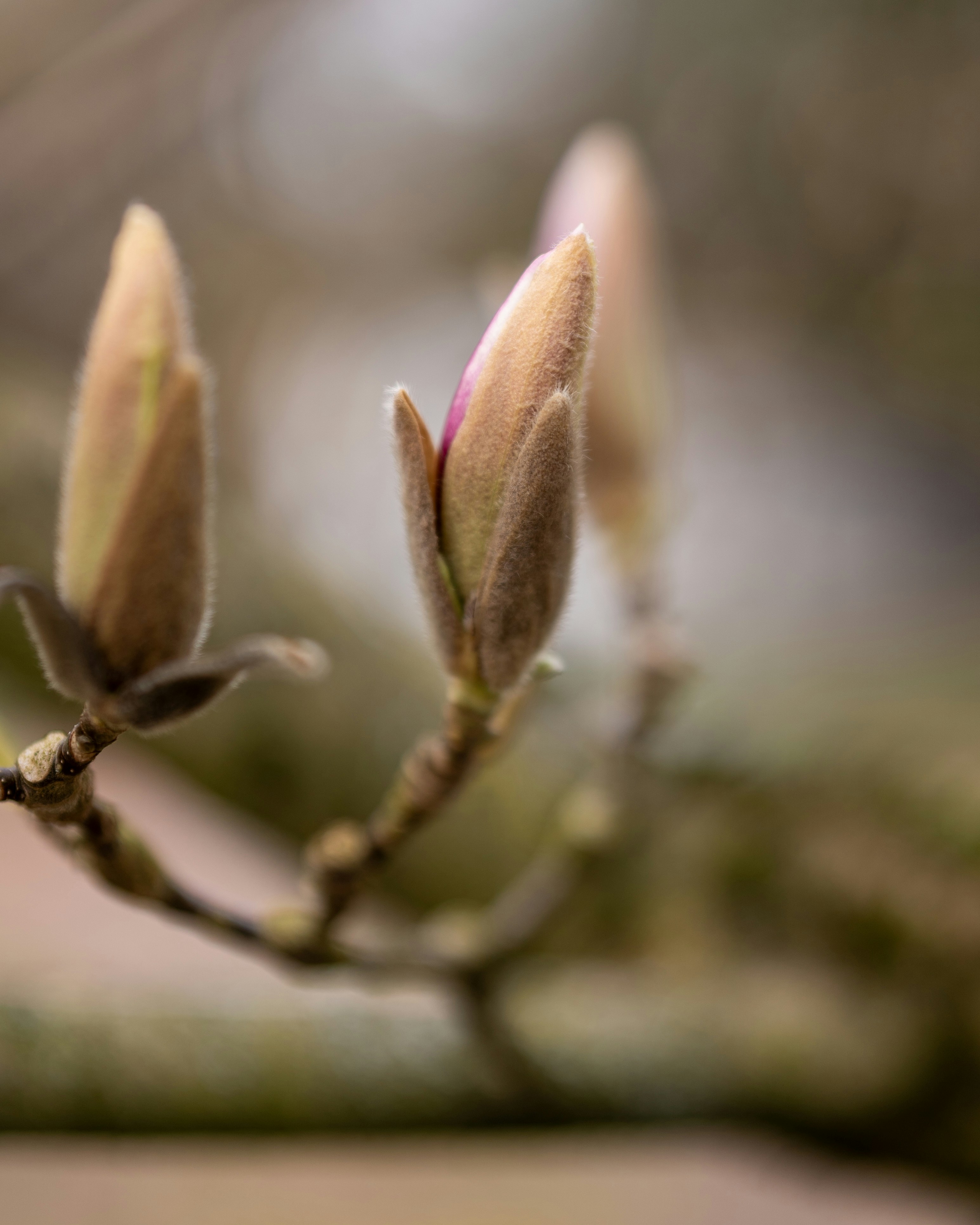 Photo by bangscreative