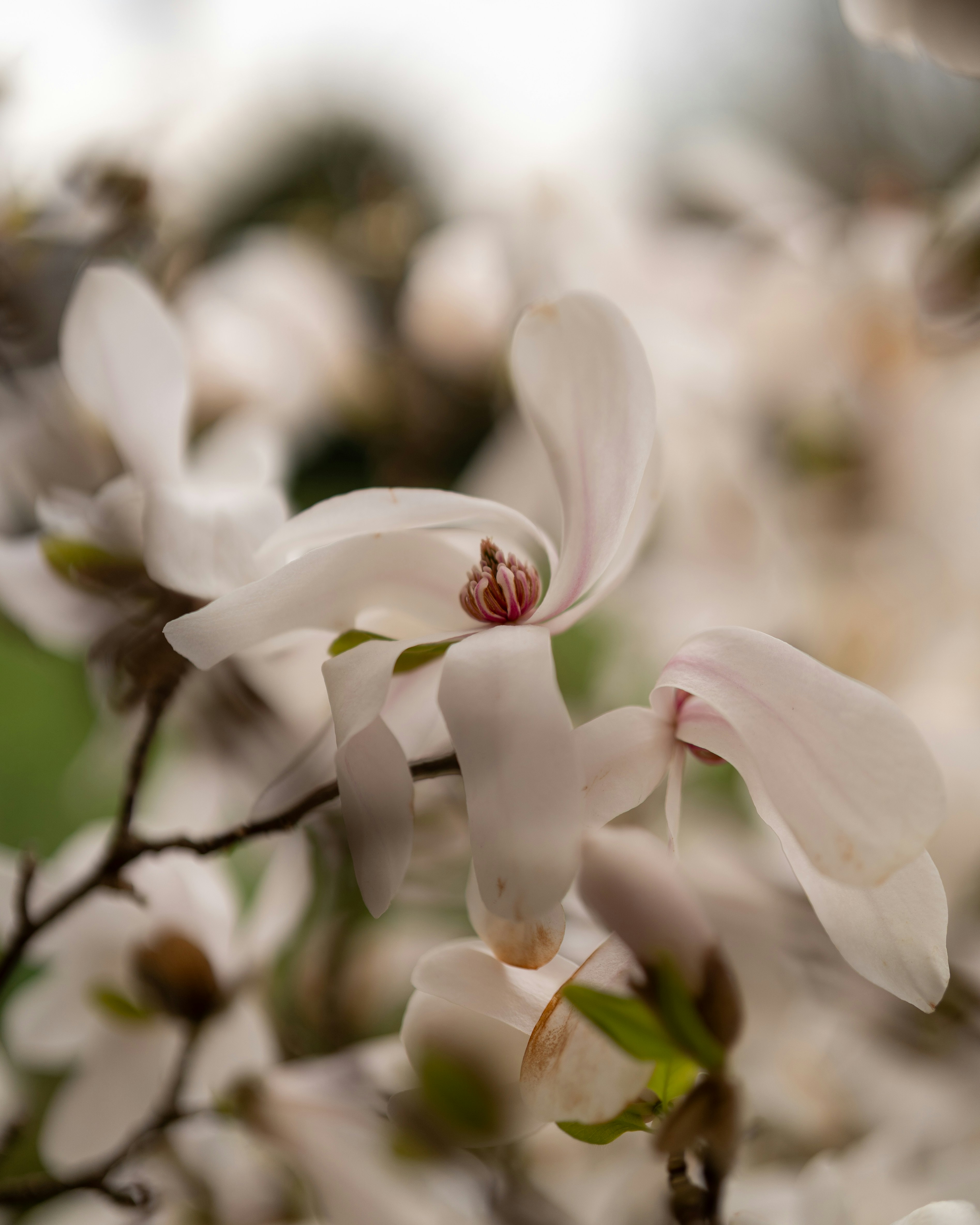 Photo by bangscreative