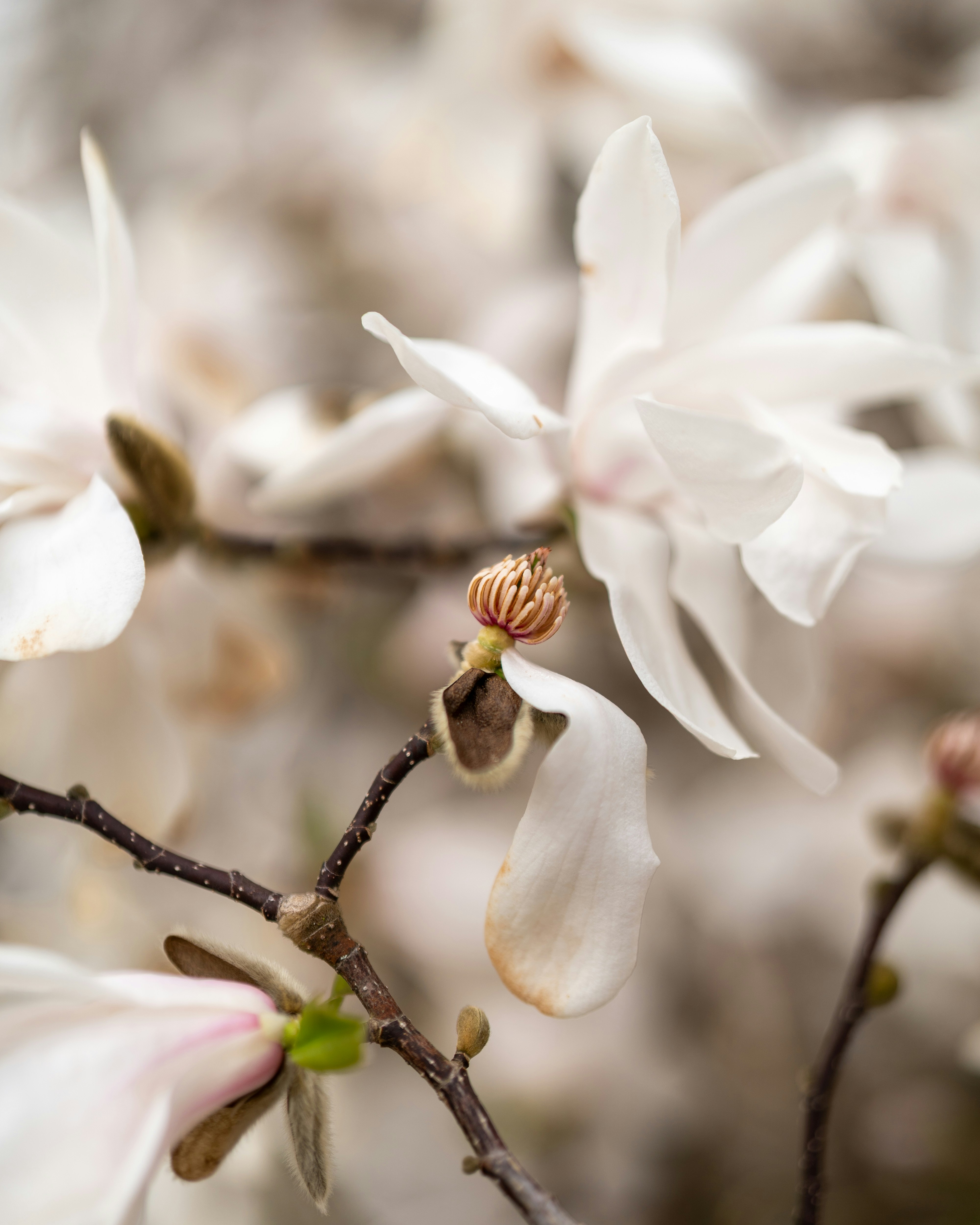 Photo by bangscreative