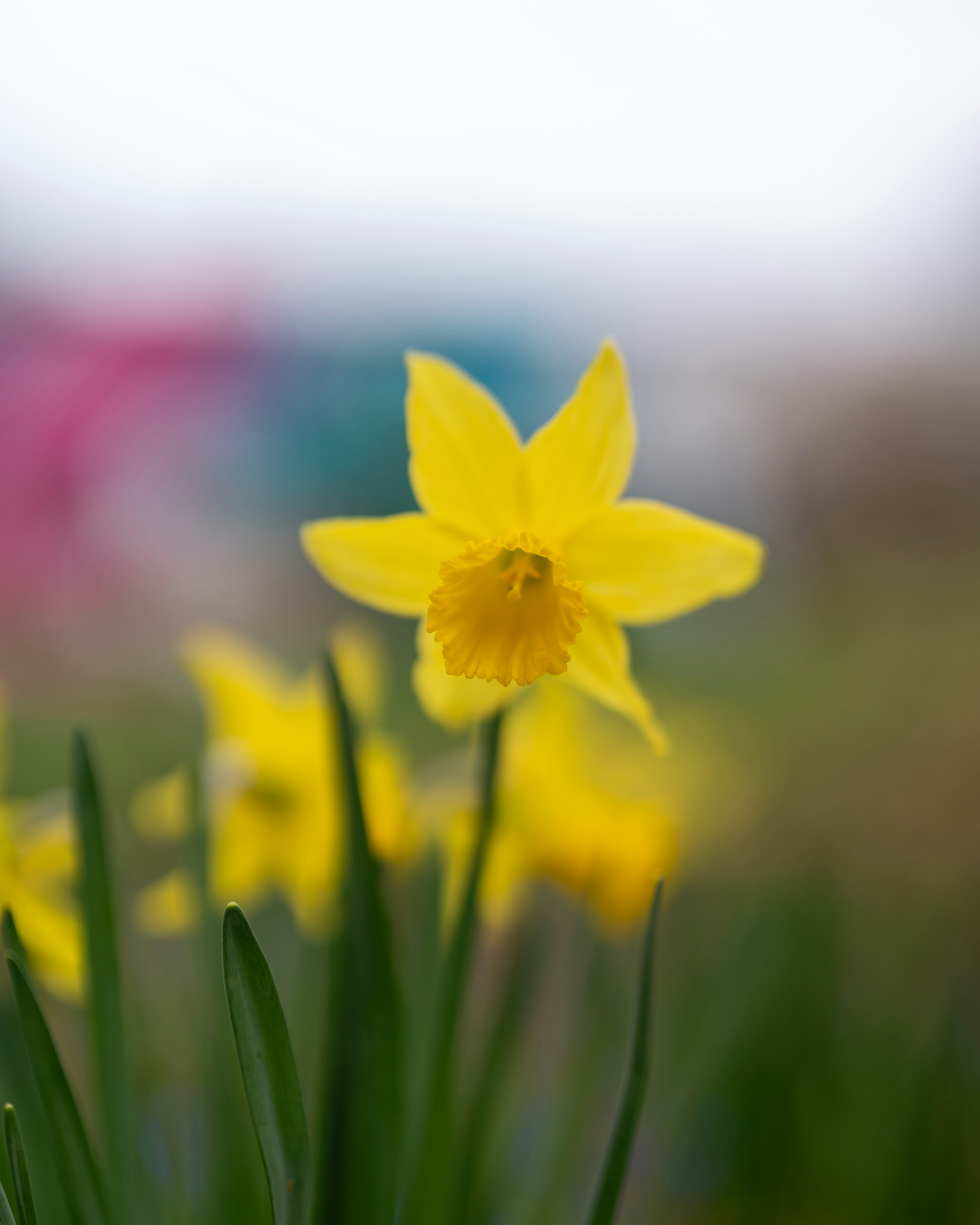 Photo by bangscreative