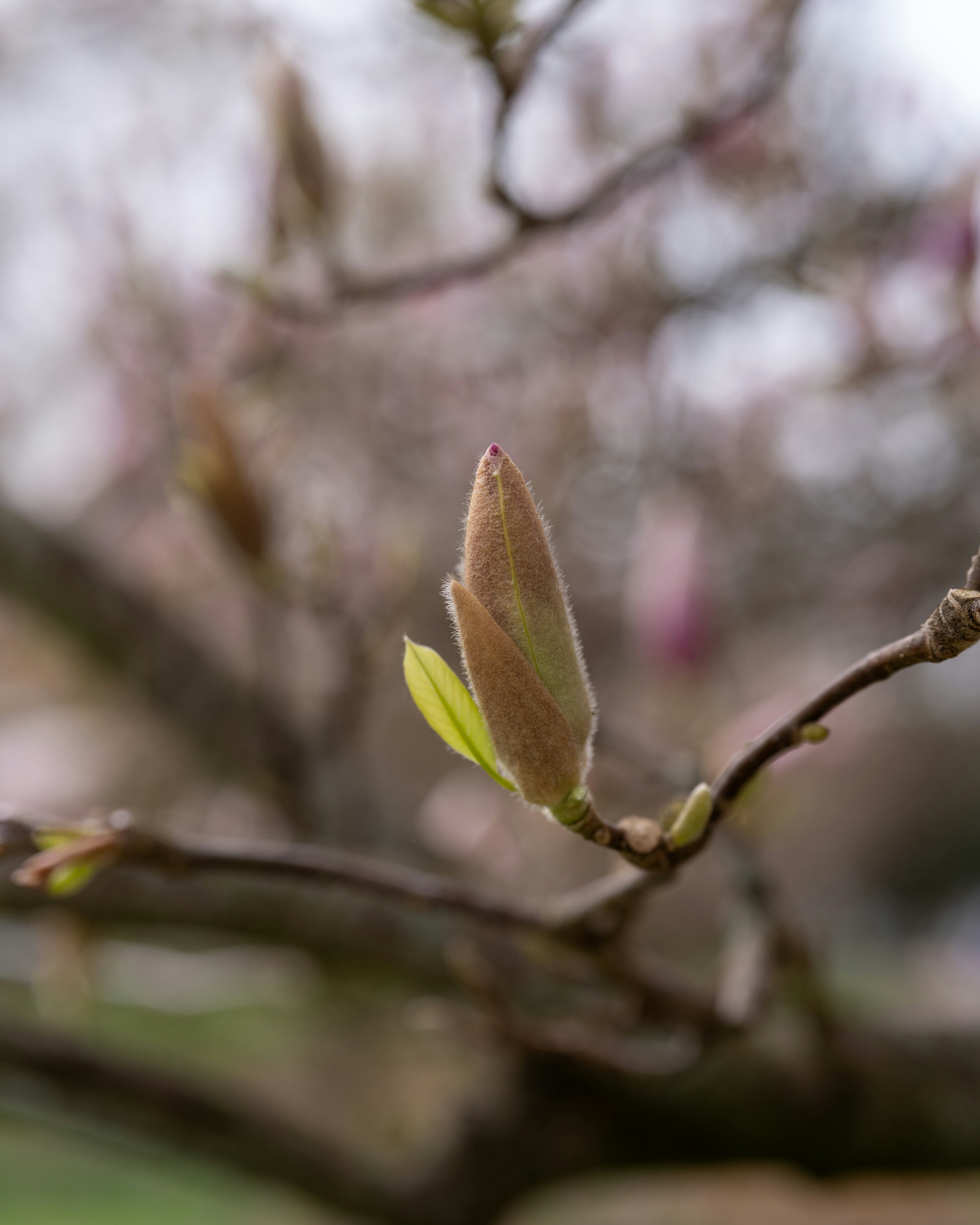 Photo by bangscreative