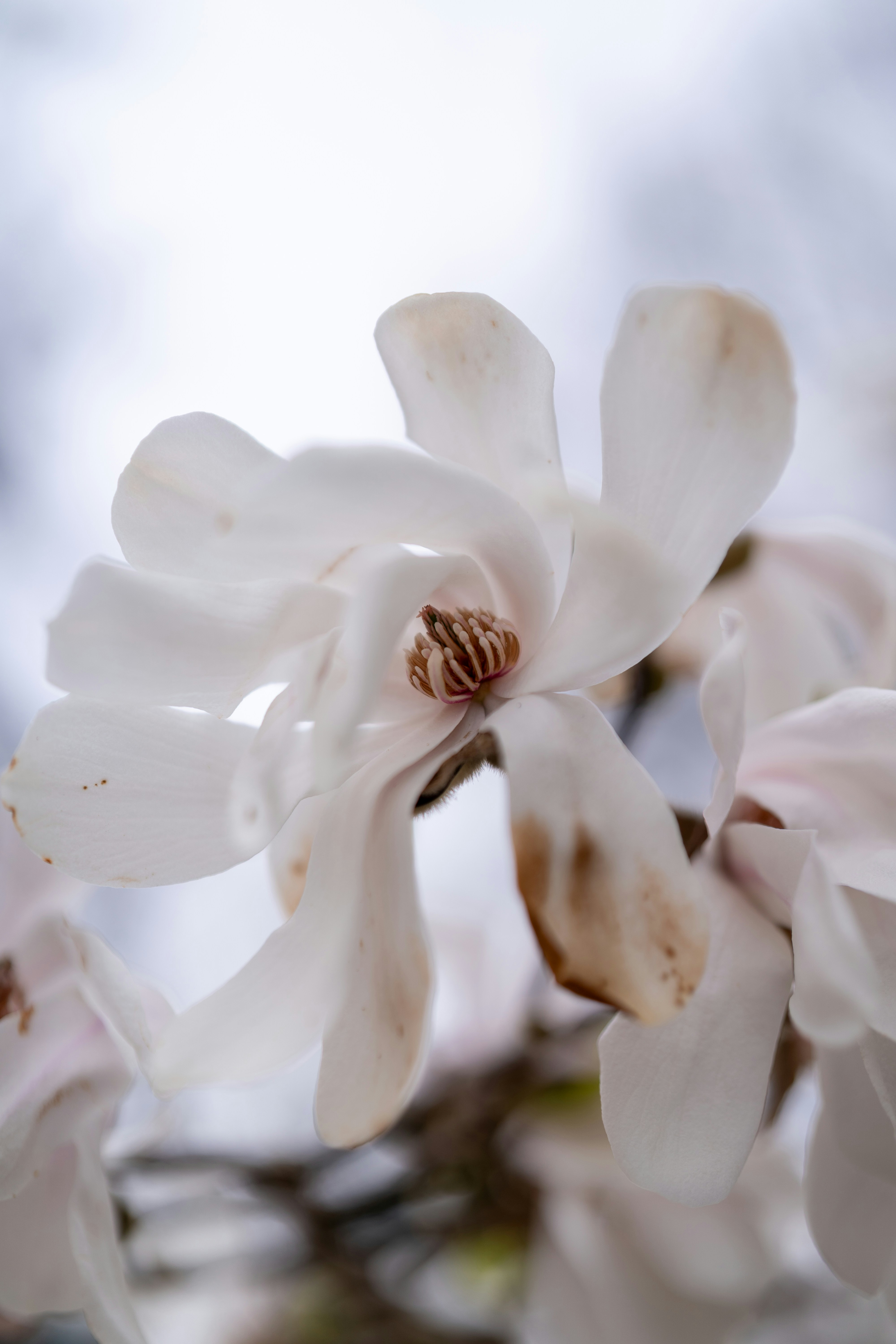 Photo by bangscreative