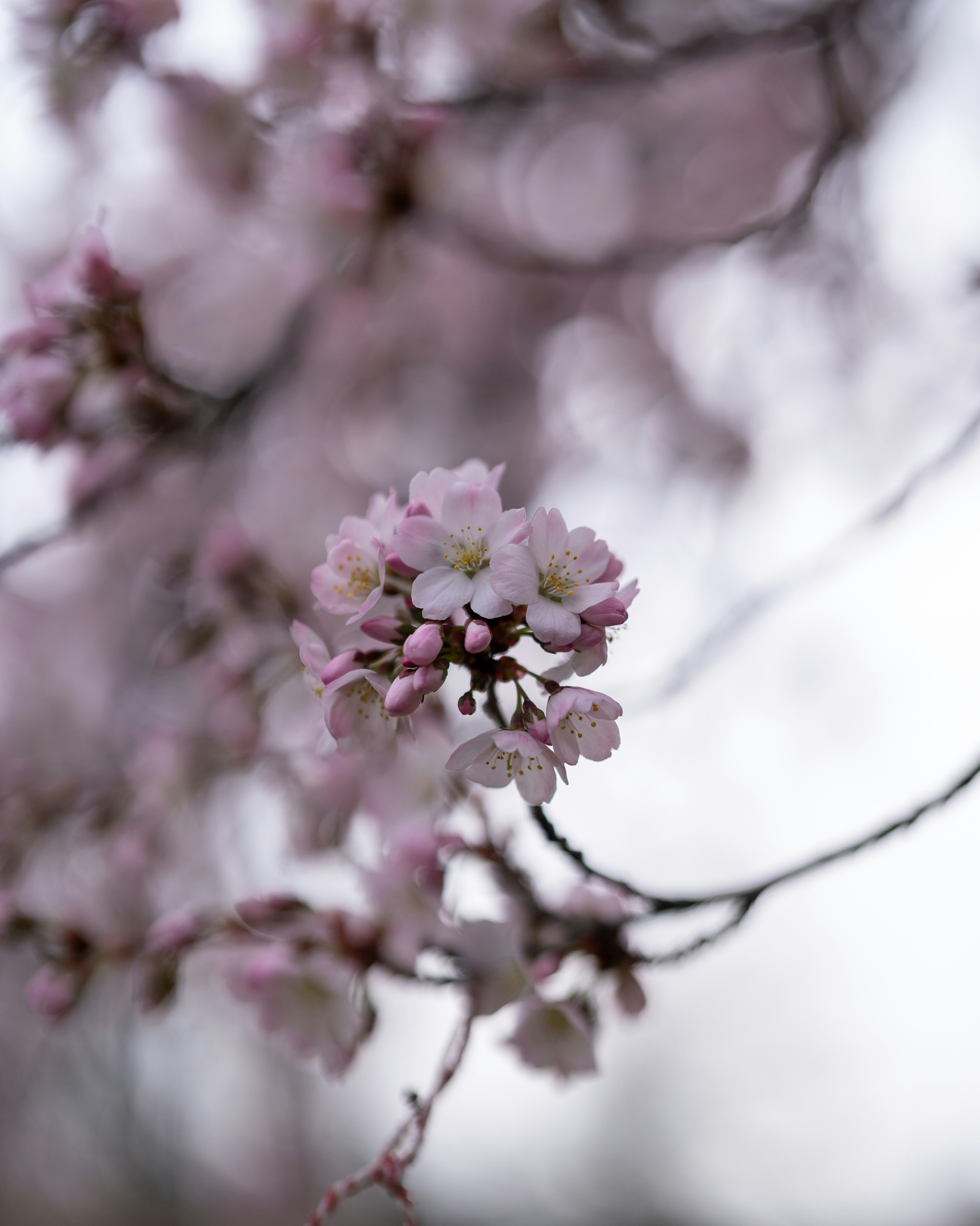 Photo by bangscreative