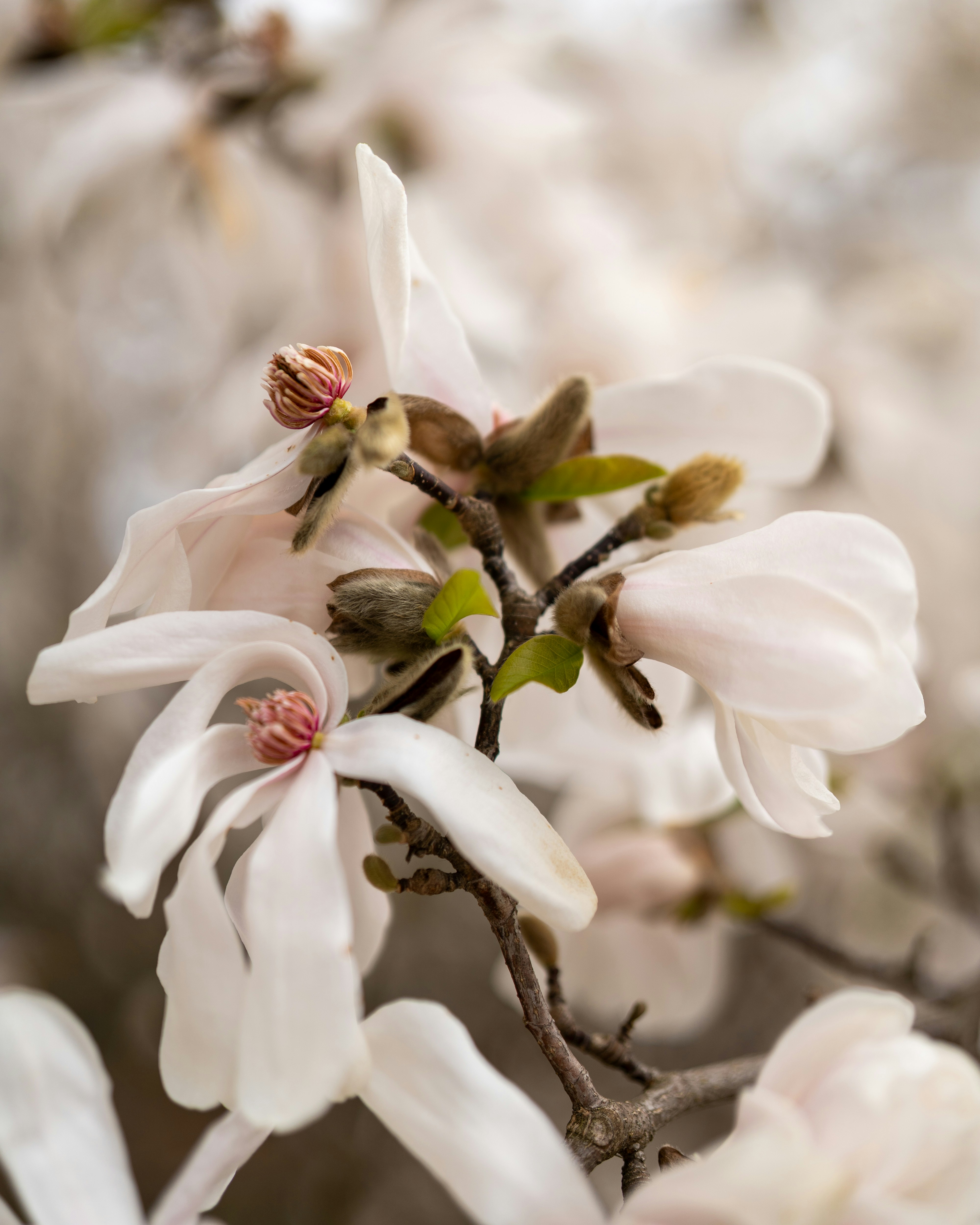 Photo by bangscreative