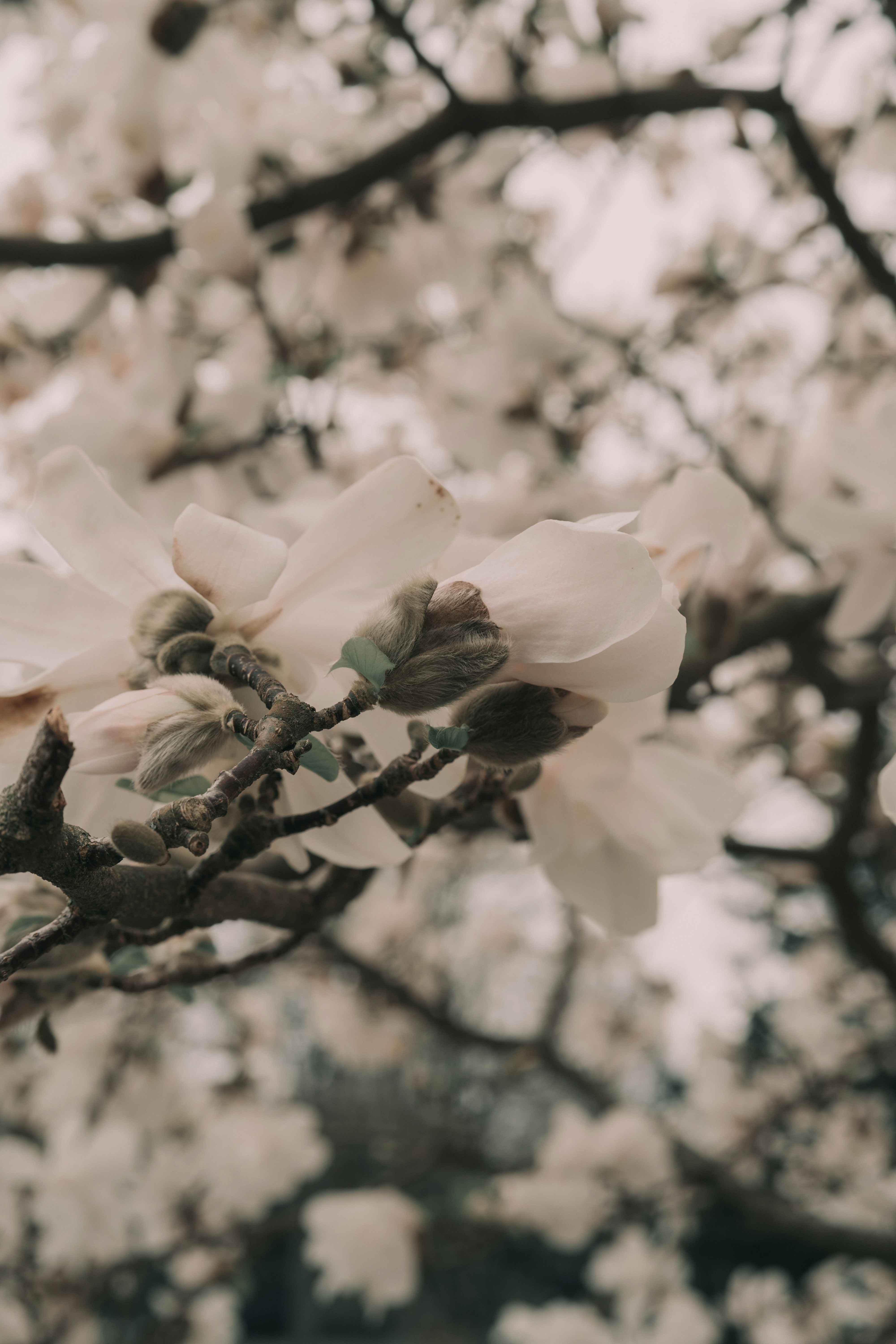 Photo by bangscreative