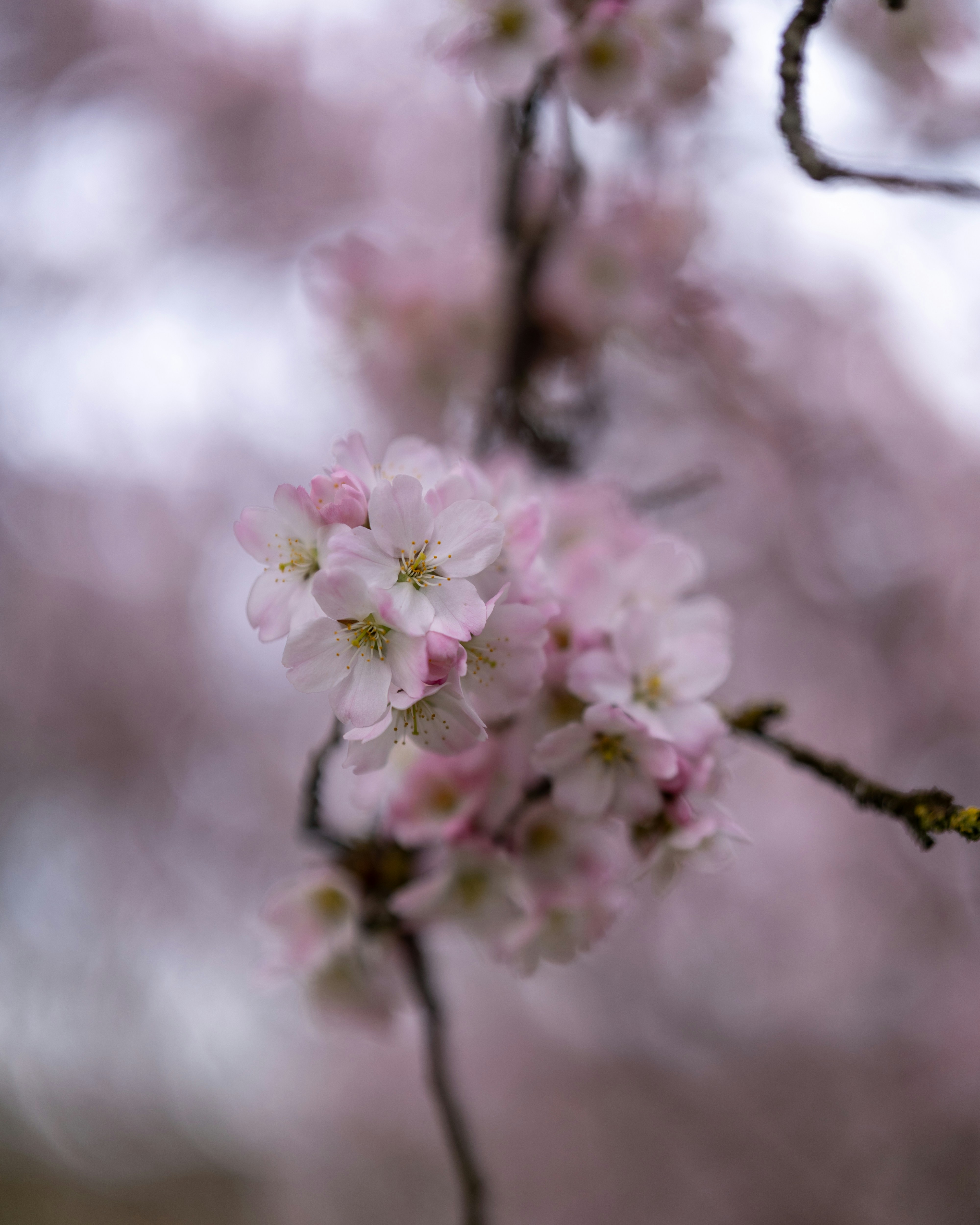 Photo by bangscreative