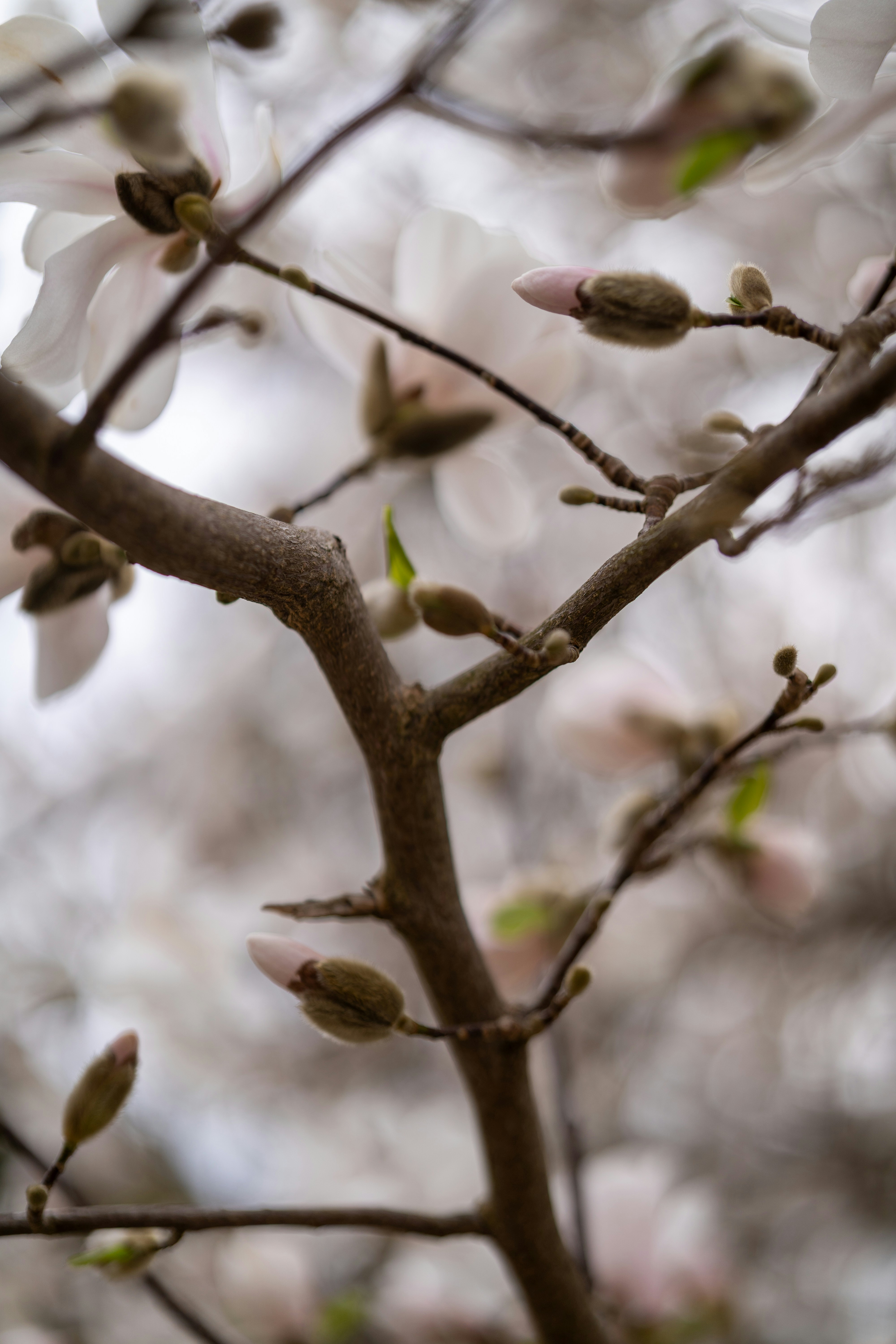 Photo by bangscreative