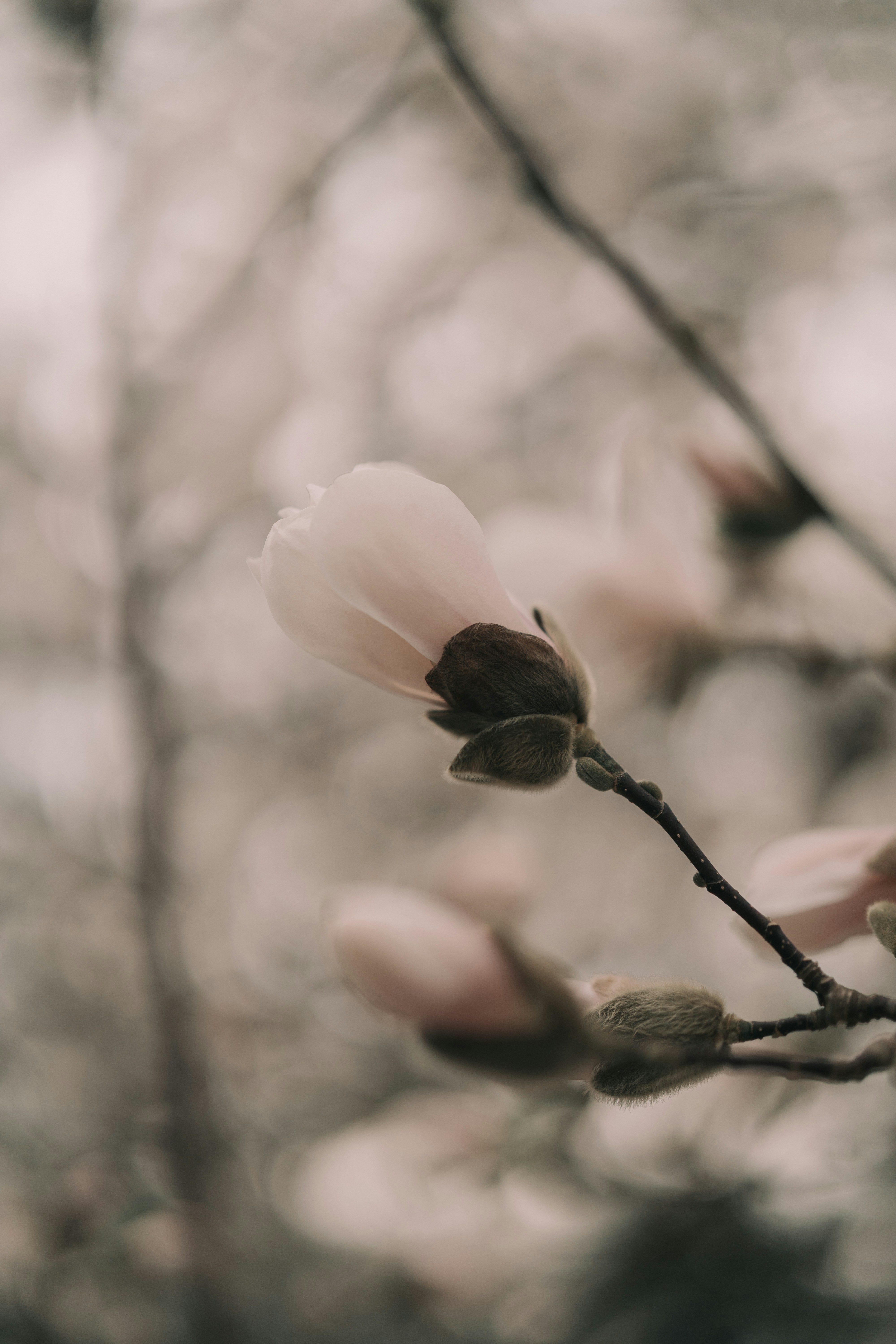 Photo by bangscreative