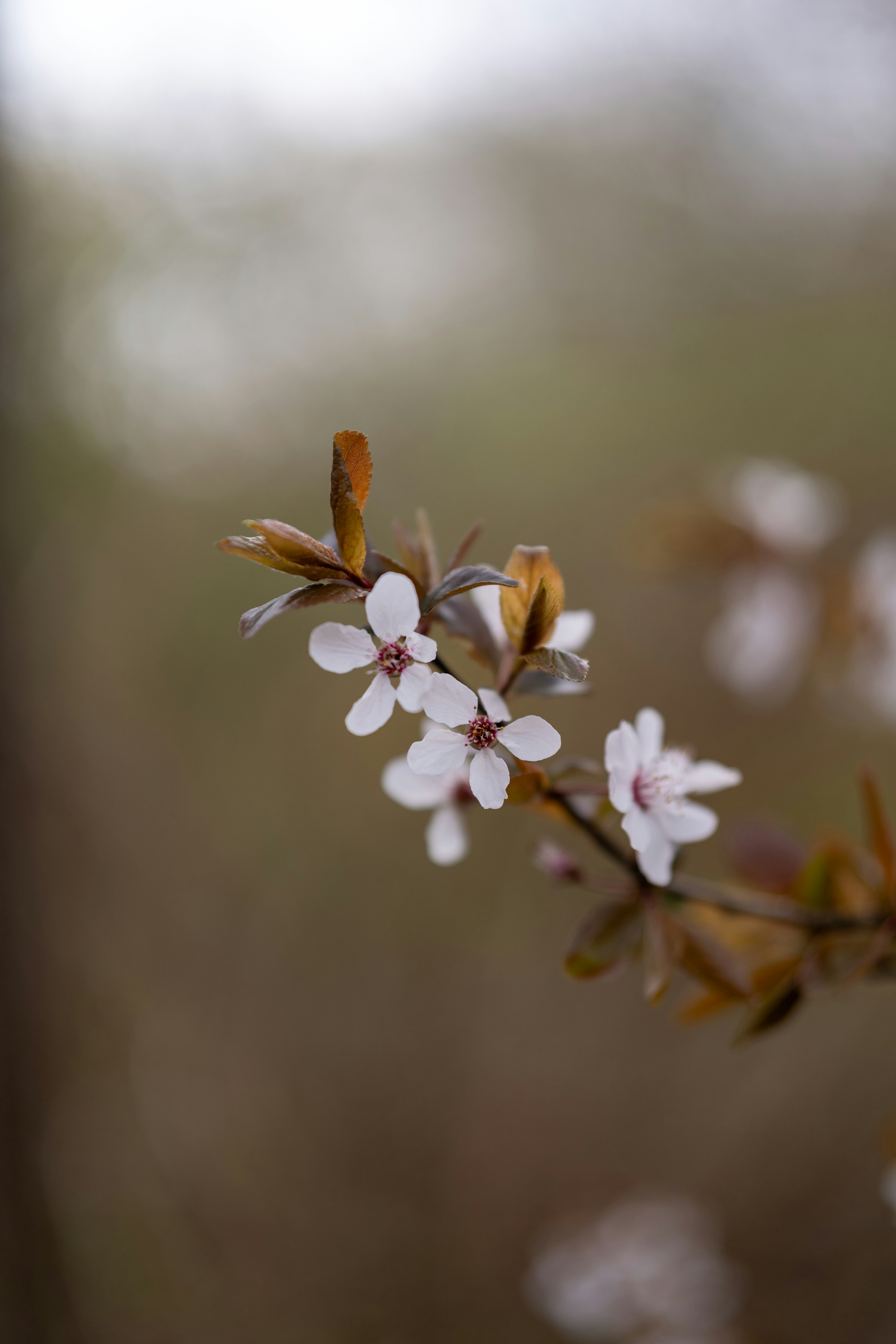 Photo by bangscreative