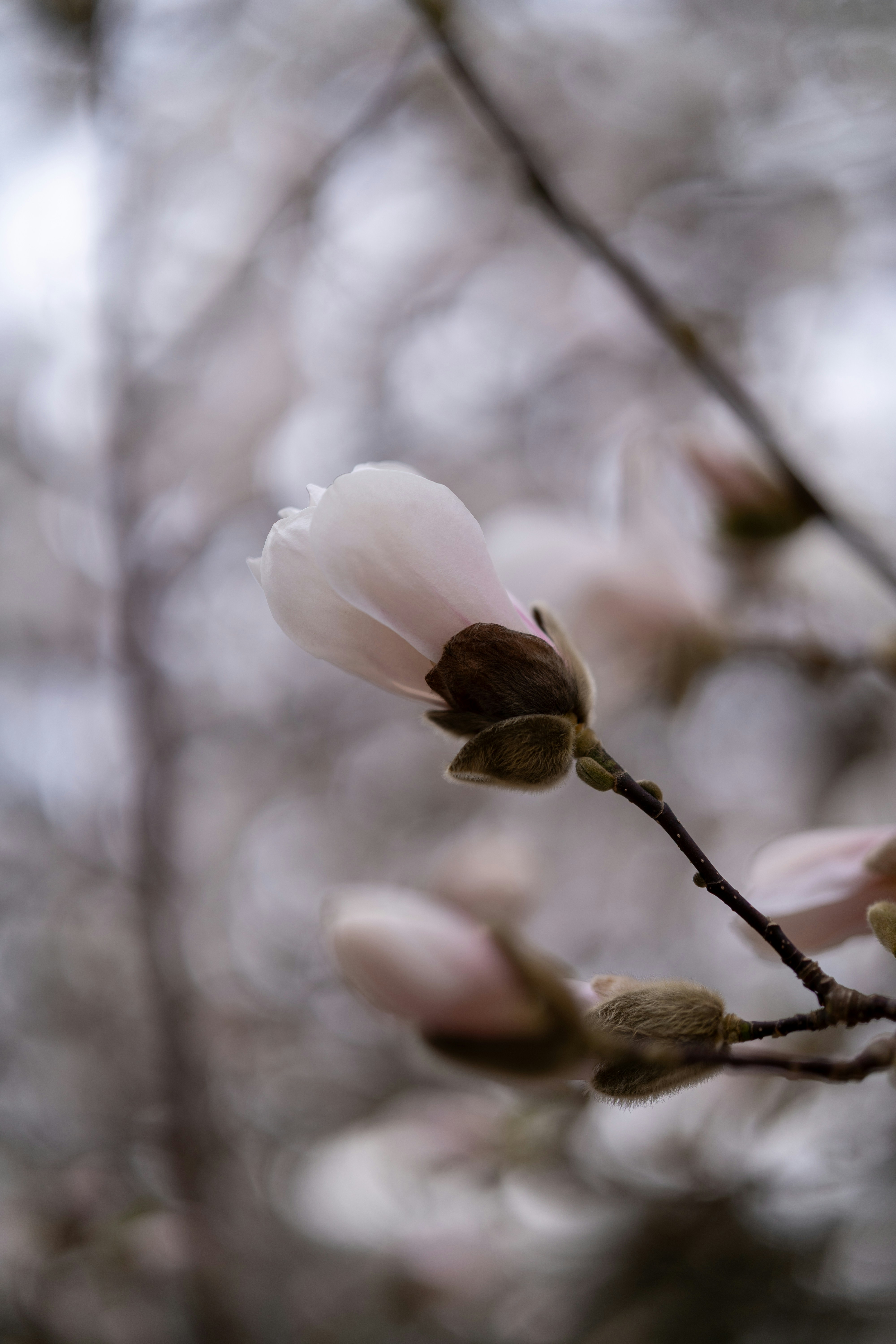 Photo by bangscreative