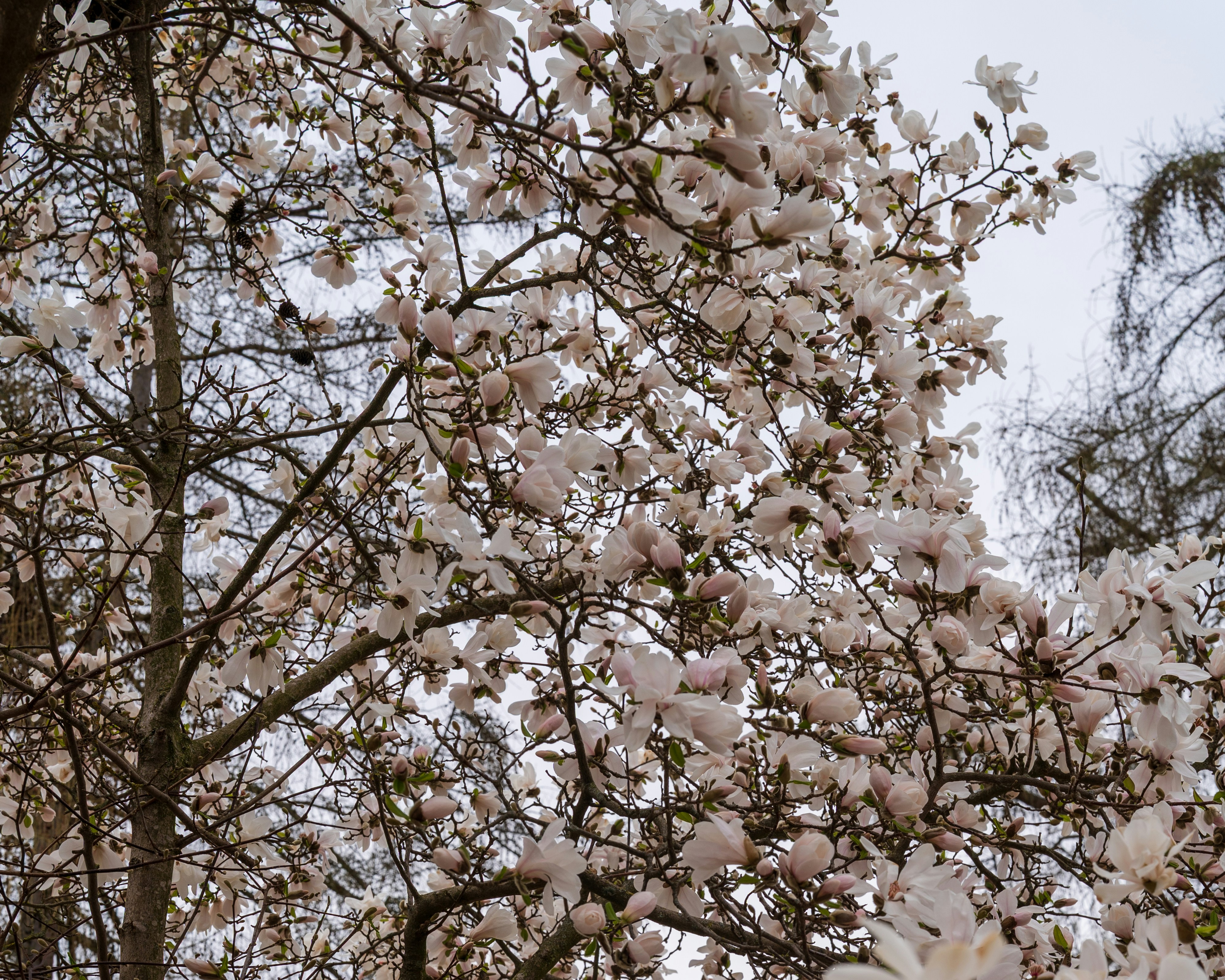 Photo by bangscreative