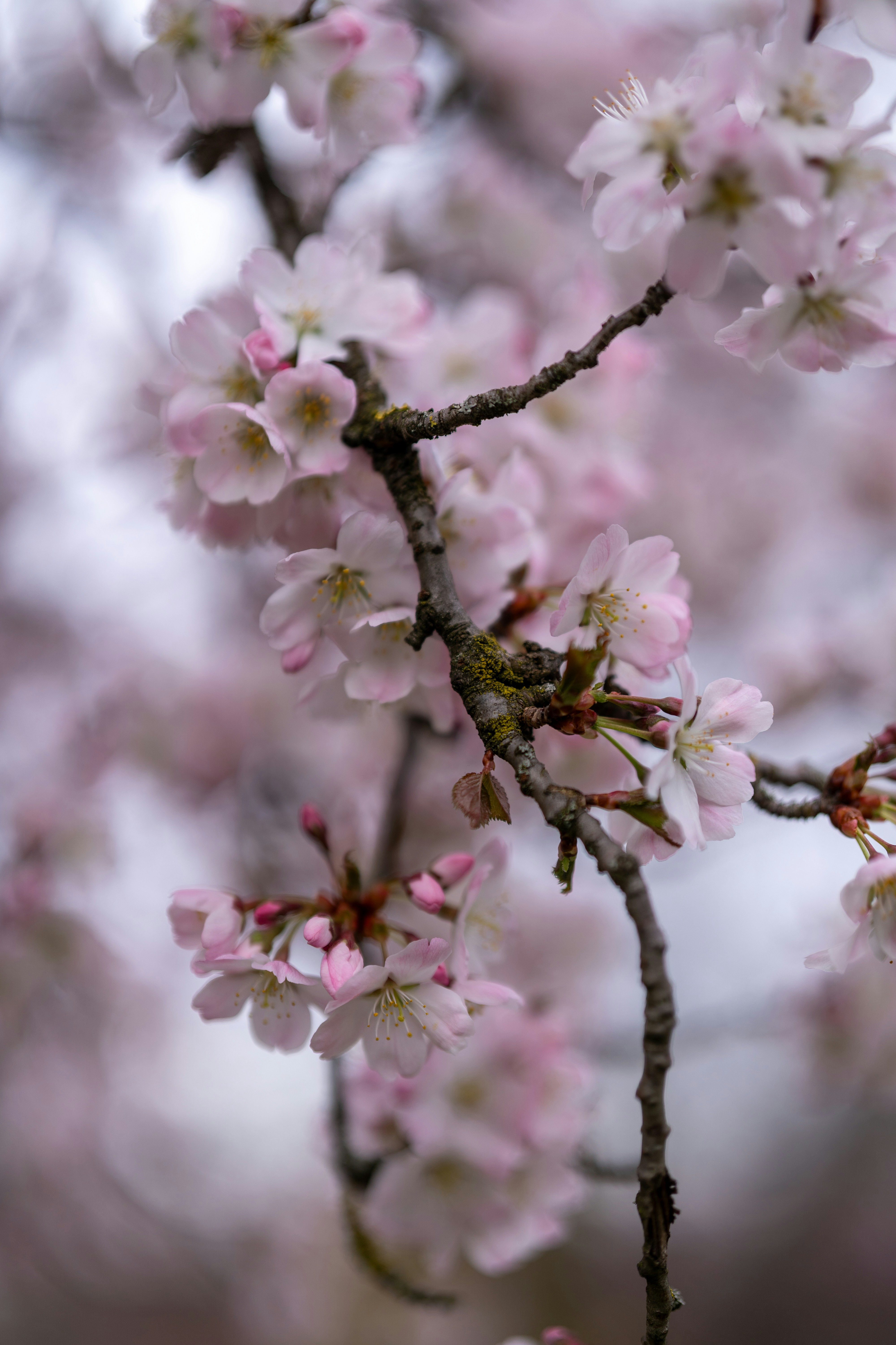 Photo by bangscreative