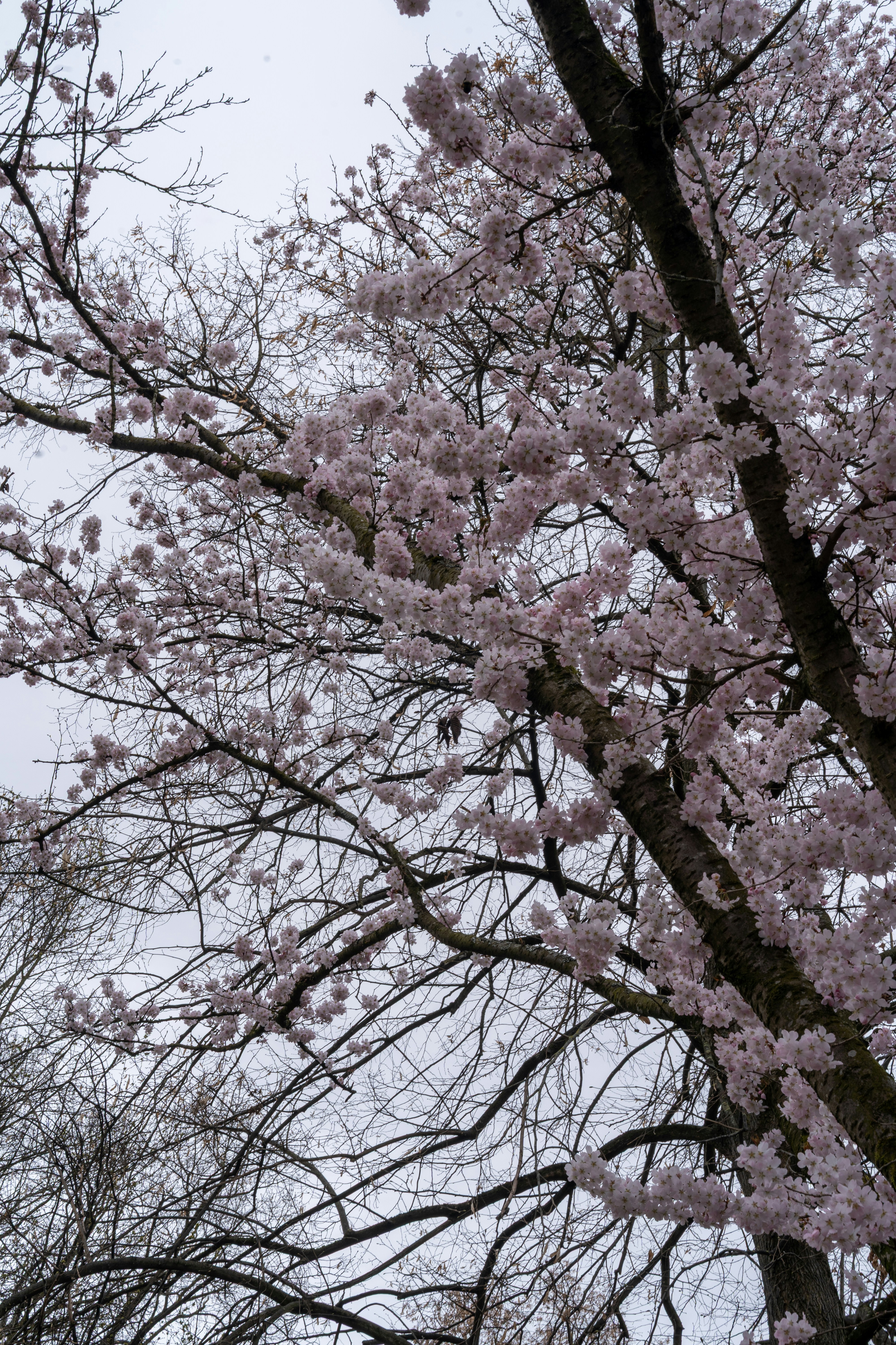 Photo by bangscreative