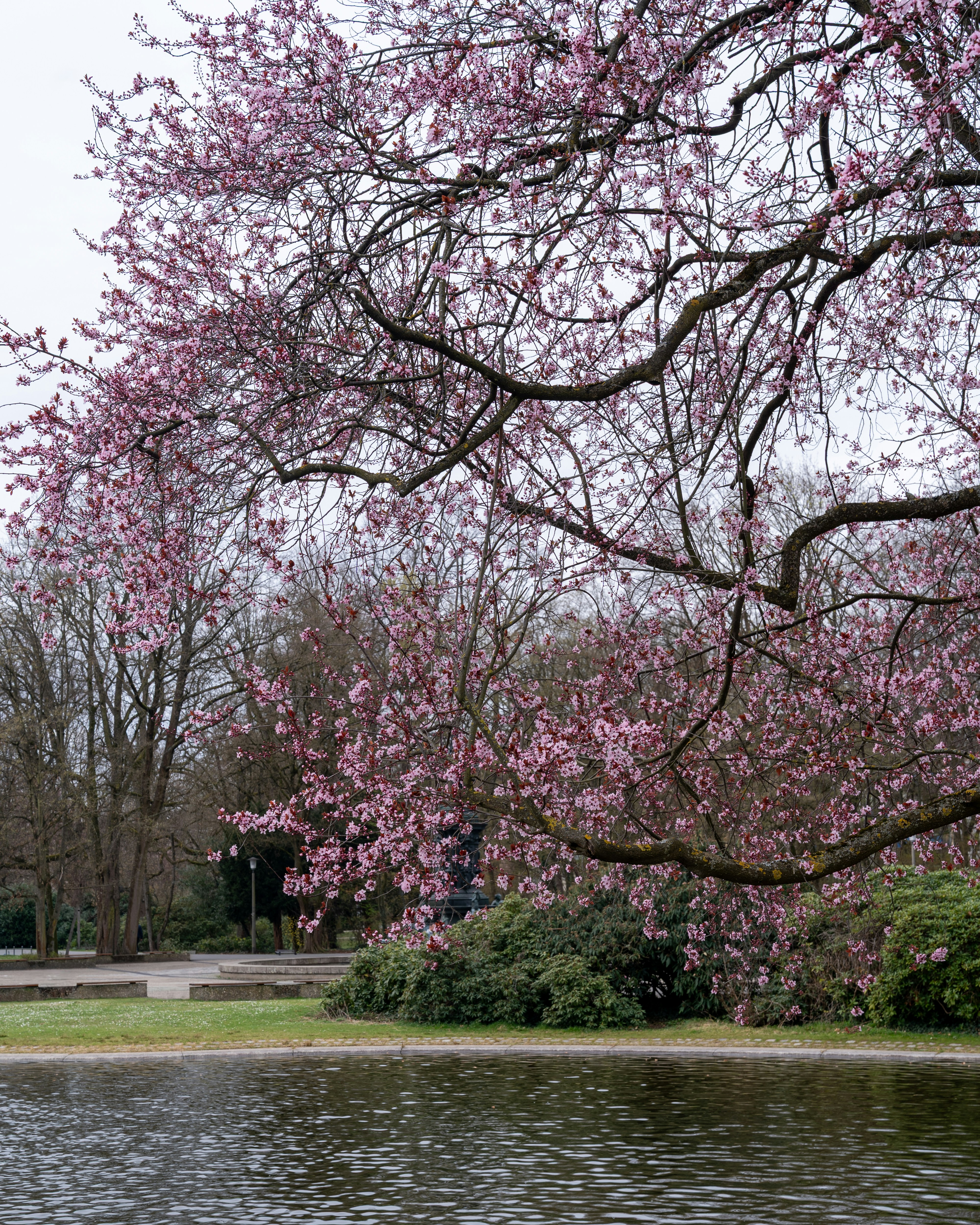 Photo by bangscreative