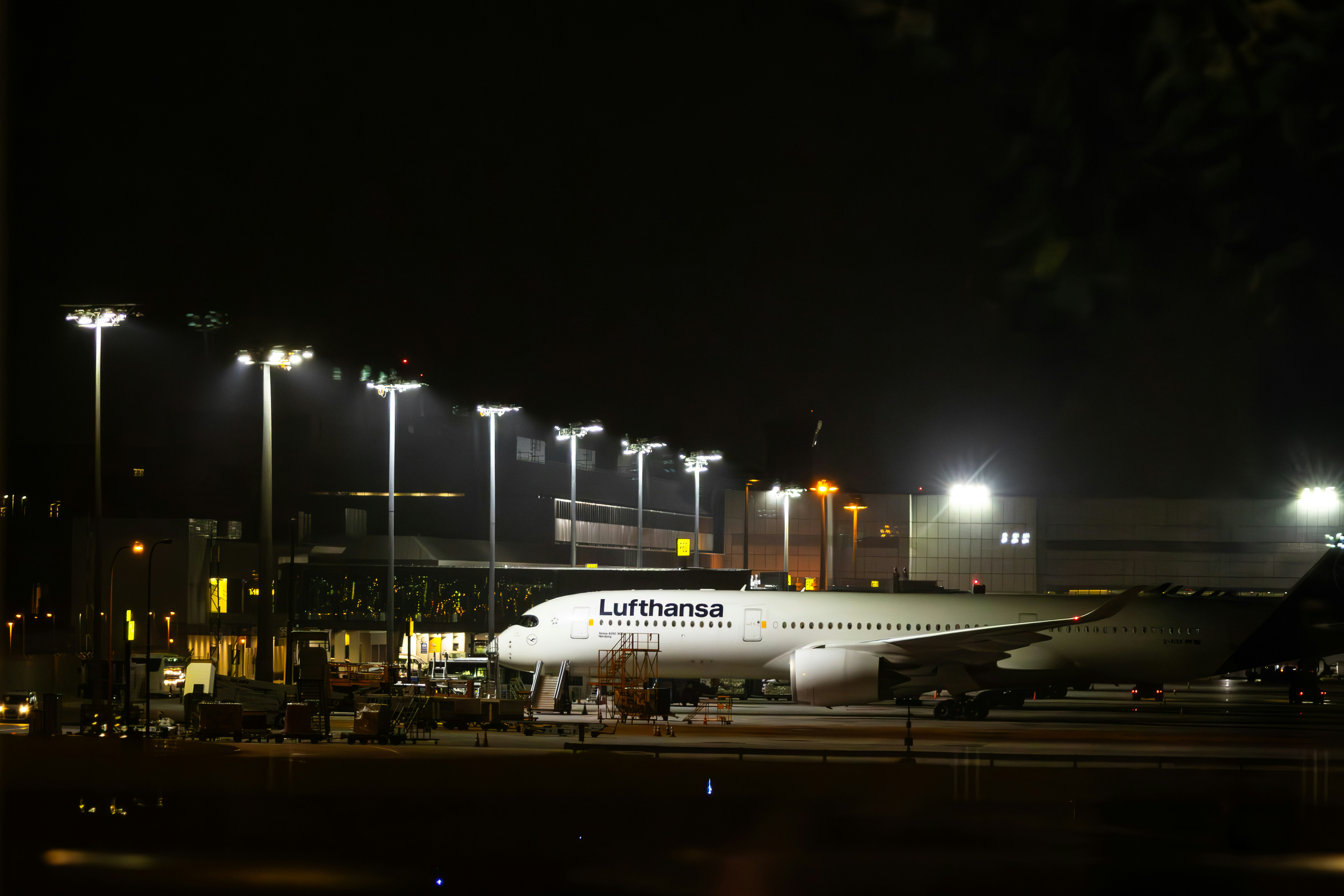 Photo by horseratbros