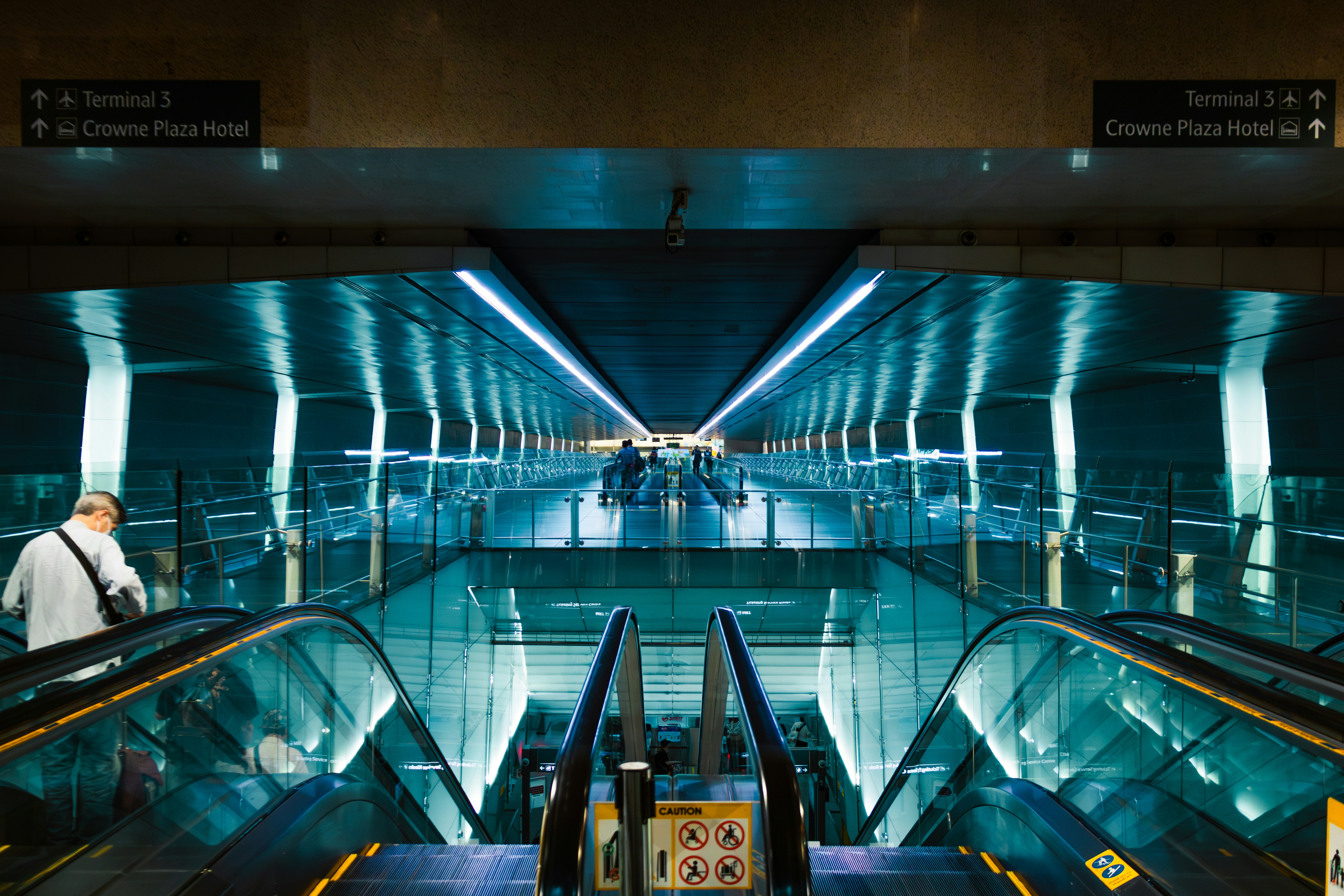 Photo by horseratbros