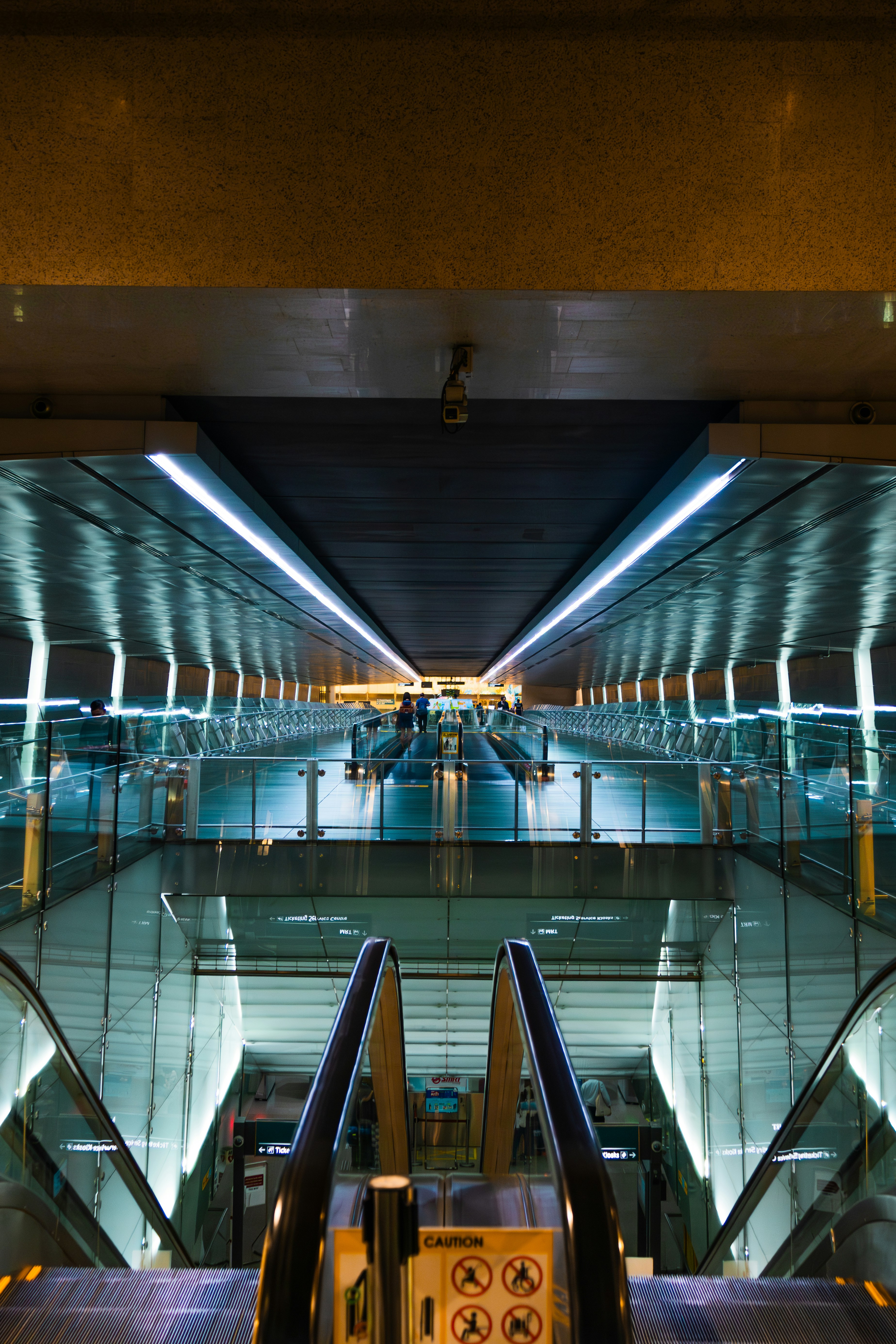 Photo by horseratbros