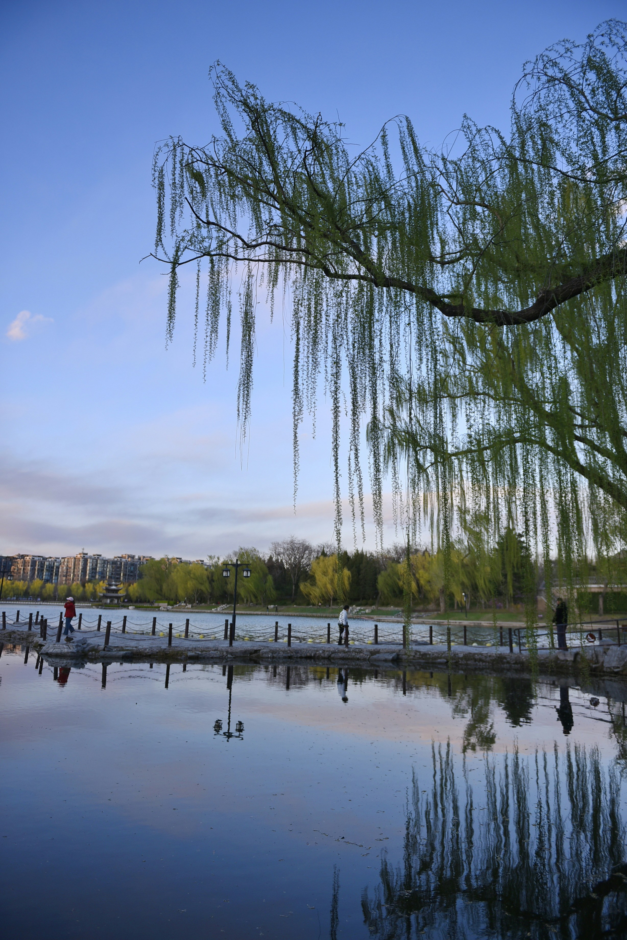 Photo by gabrielxu