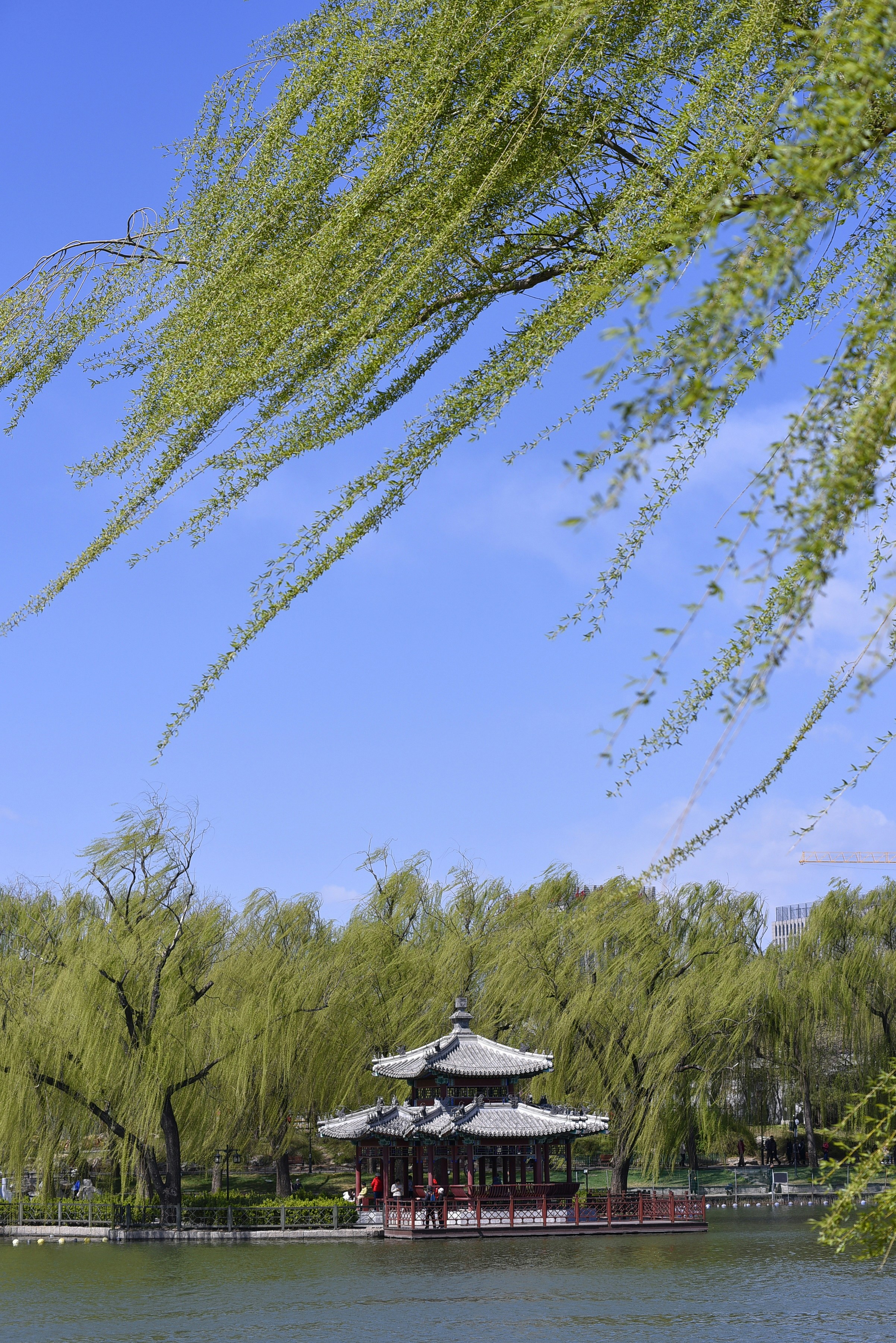 Photo by gabrielxu