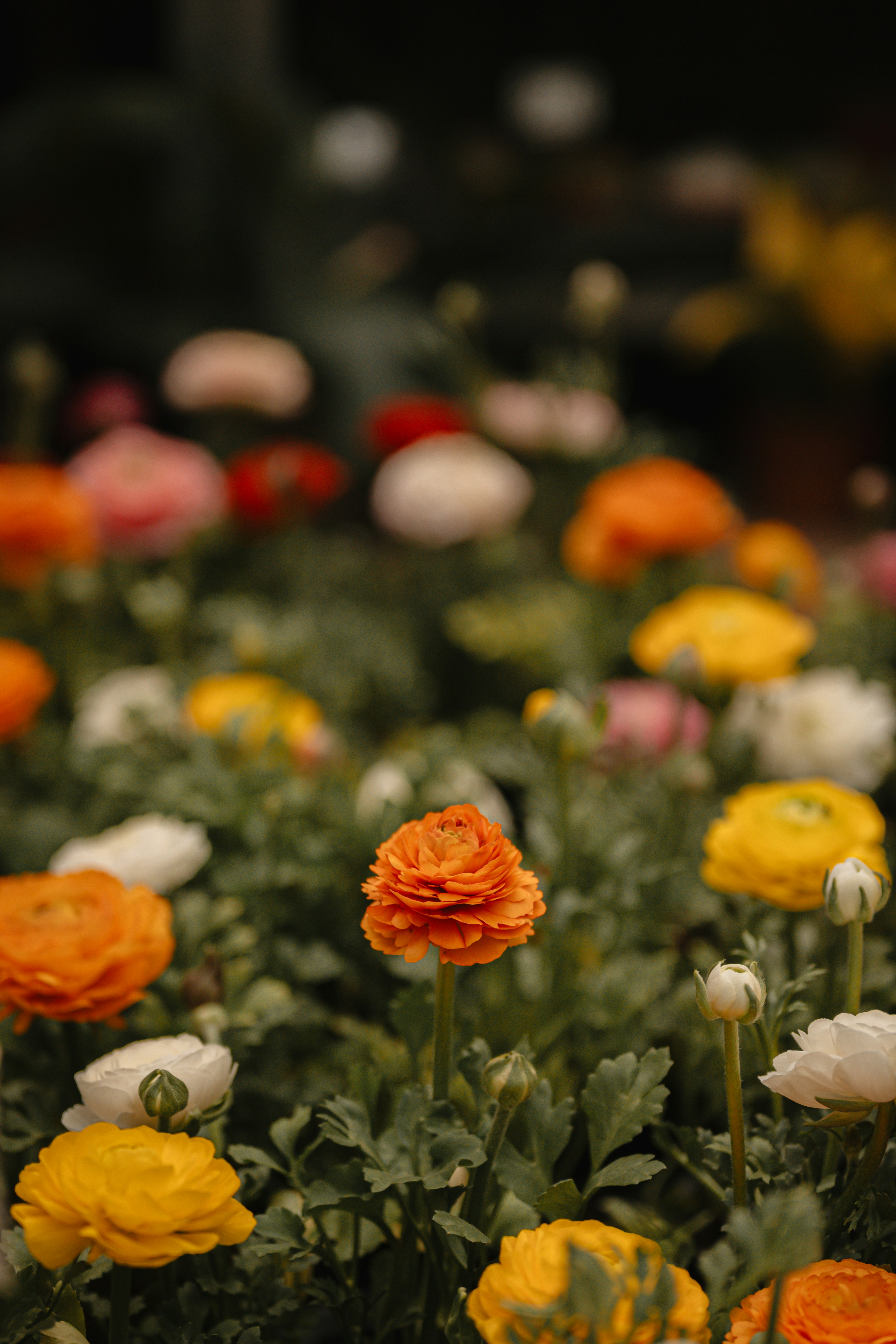 Photo by borysenkodasha