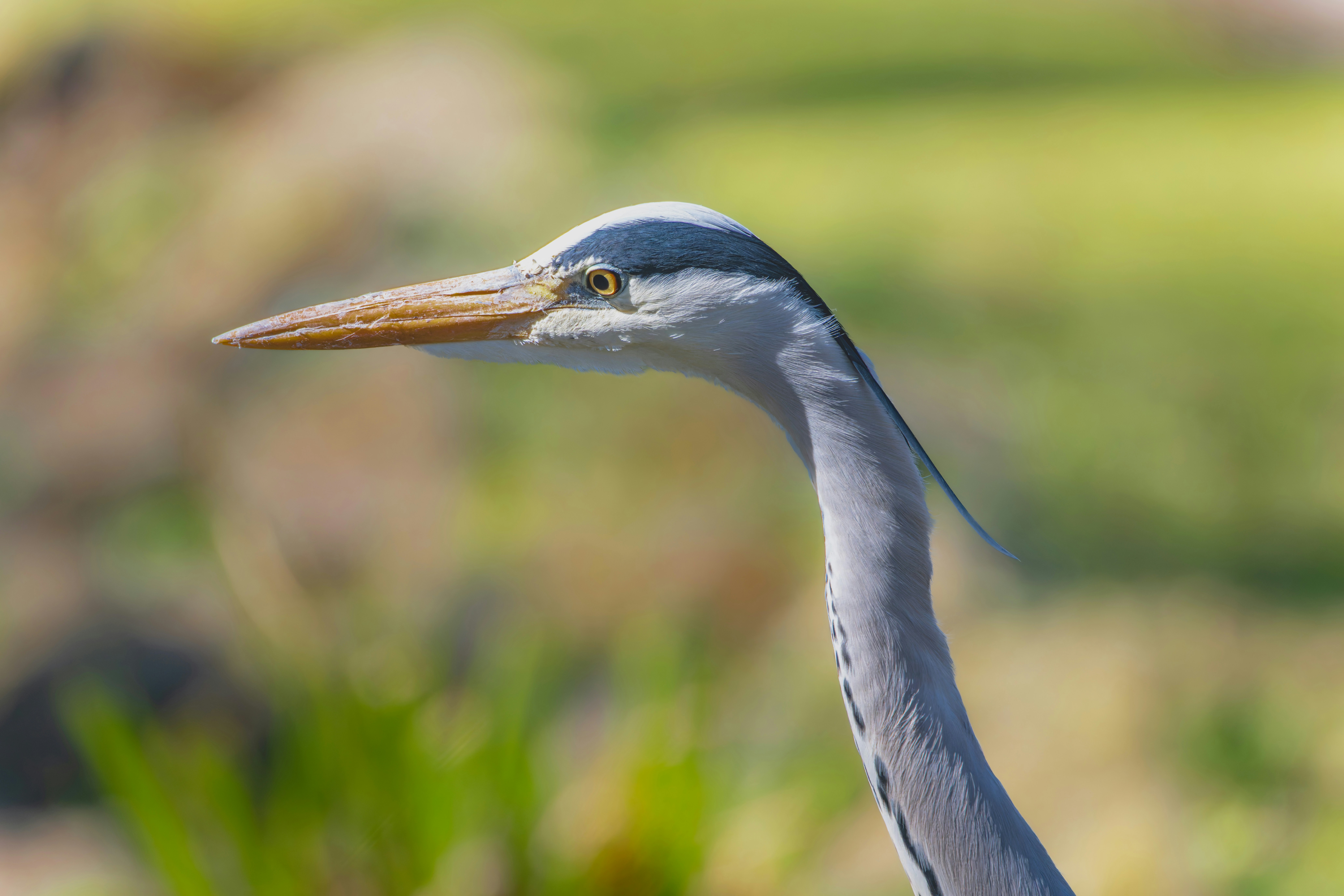 Photo by siegfriedpoepperl