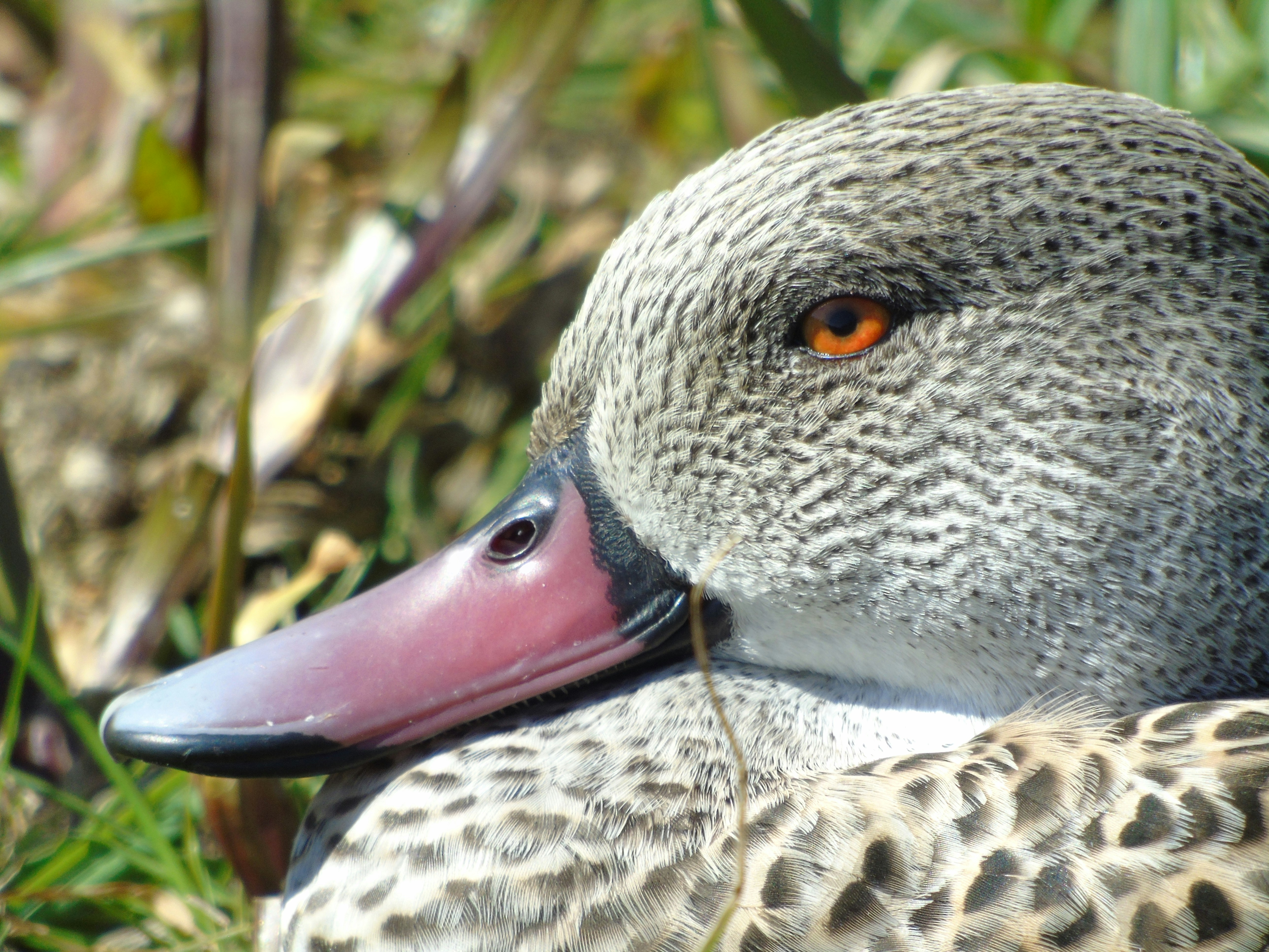 Photo by brookehannah