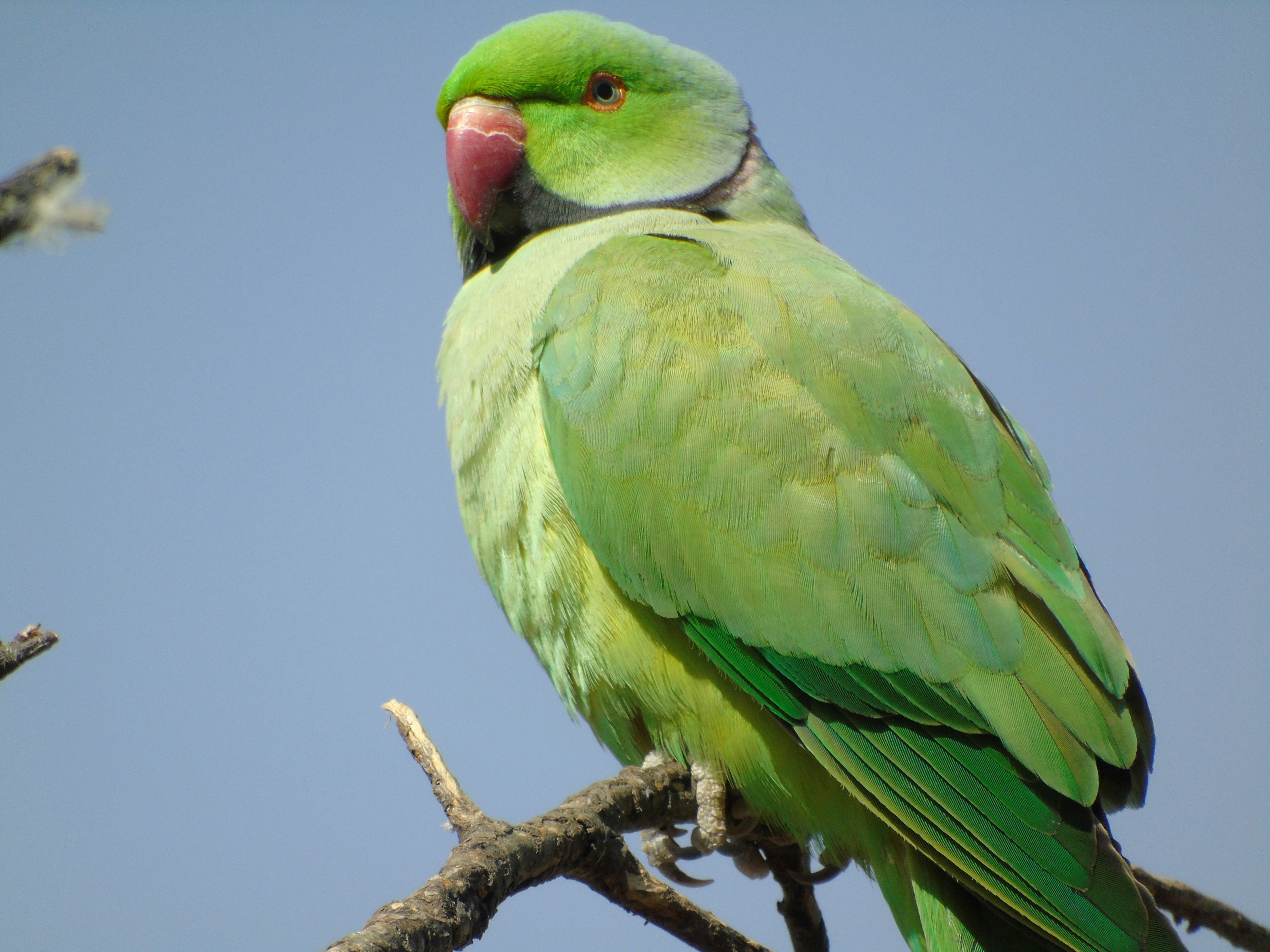 Photo by brookehannah