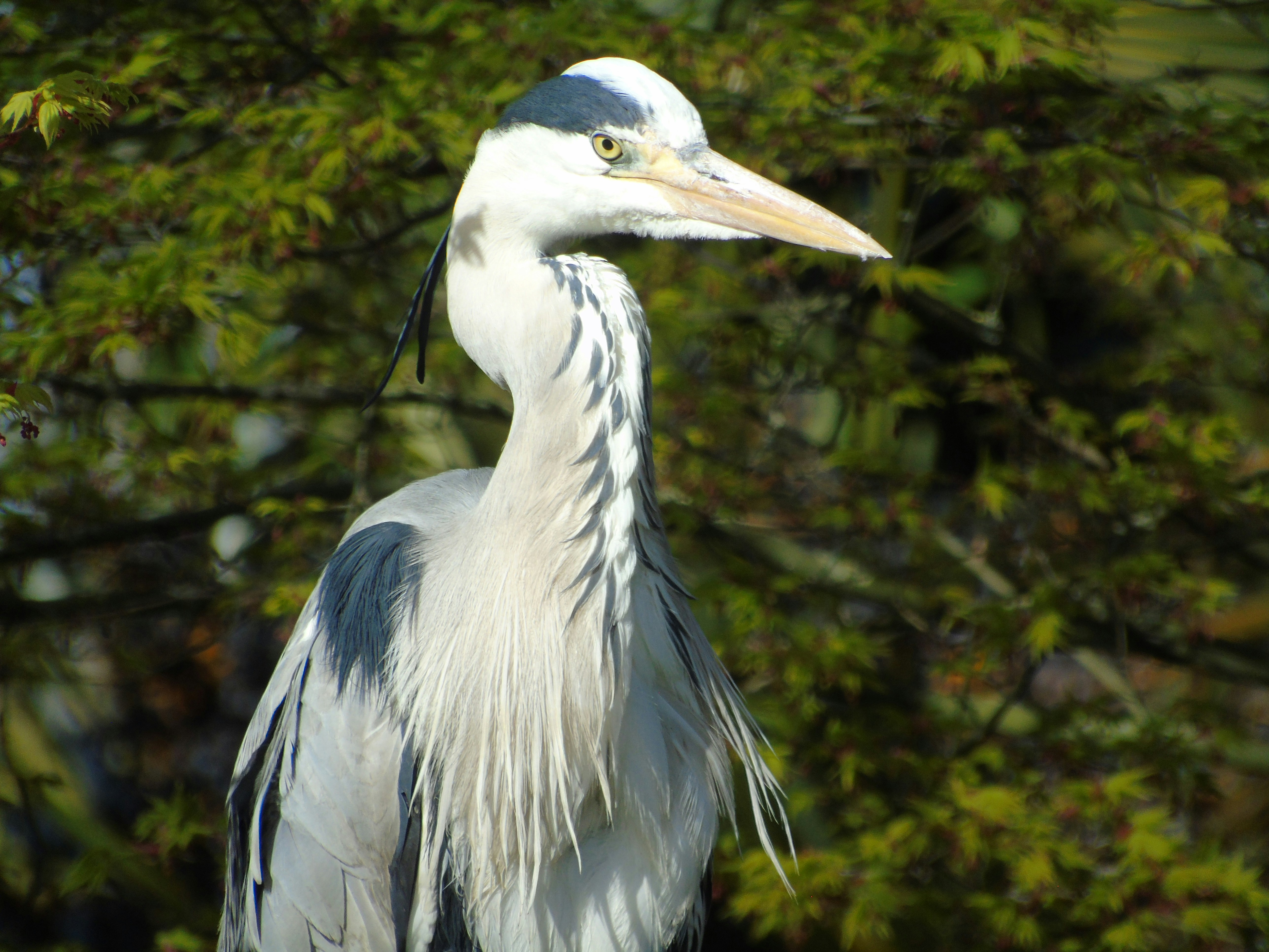 Photo by brookehannah