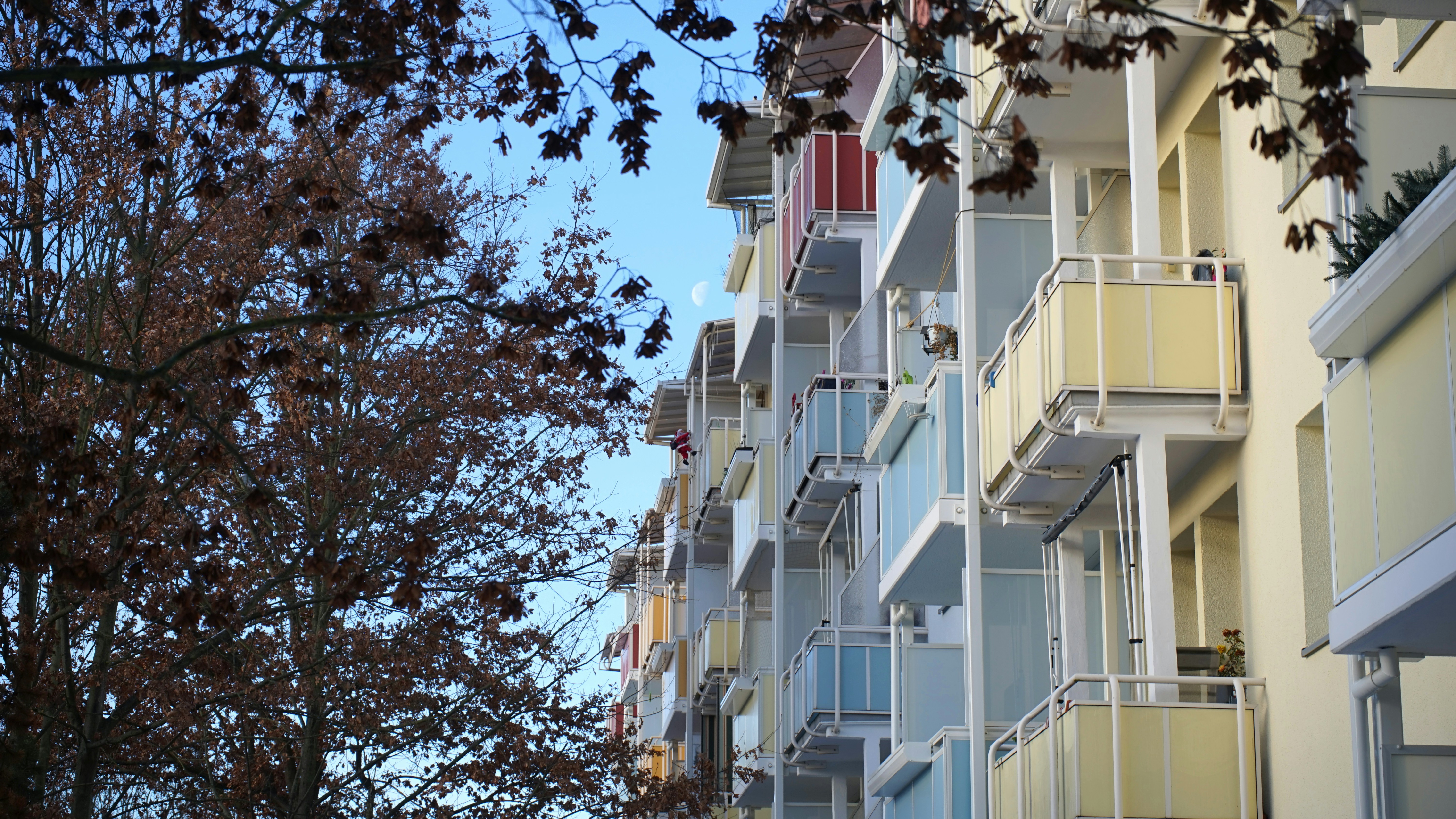 Colorful apartment building with balconies and tree branches.