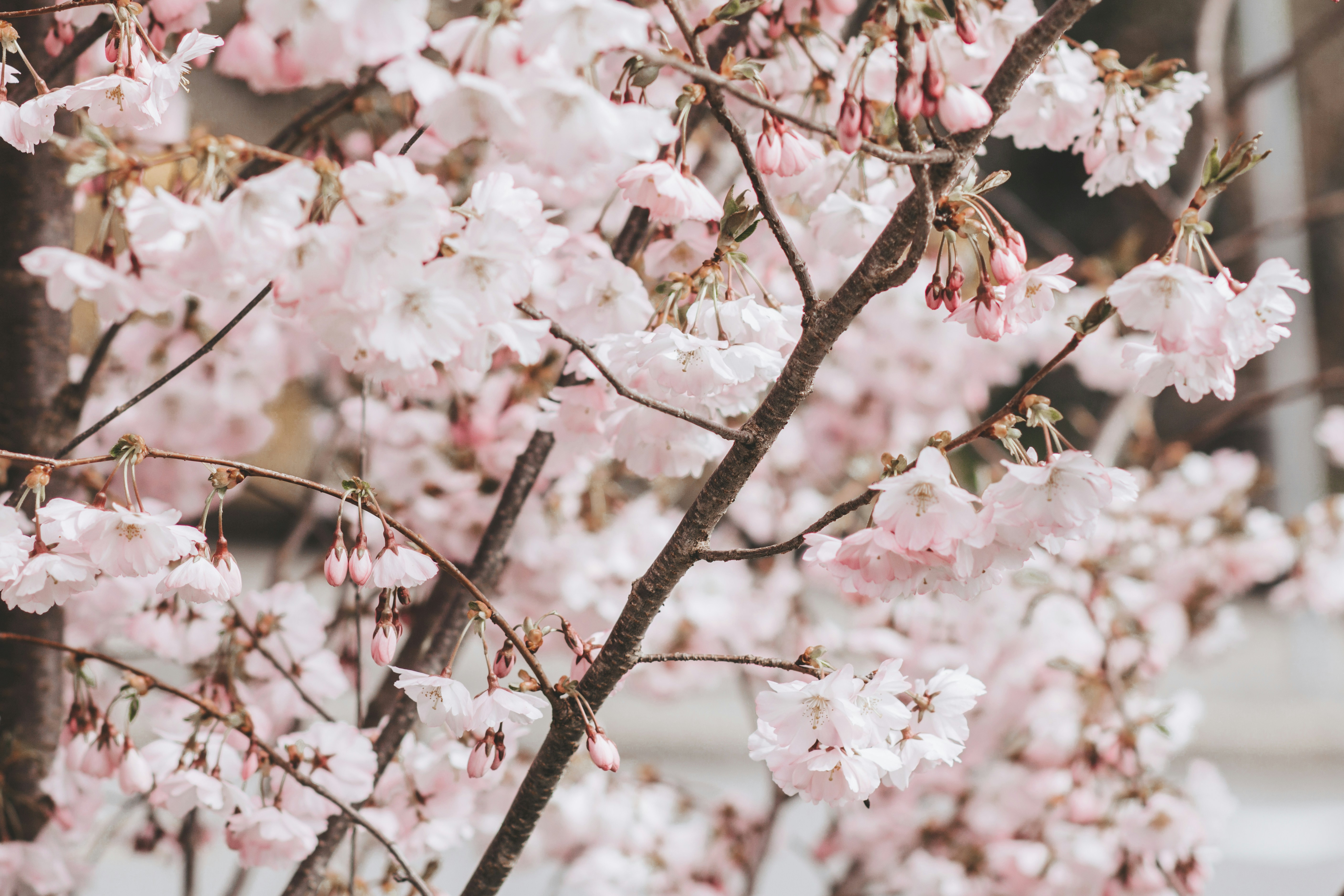 Photo by emilipothese