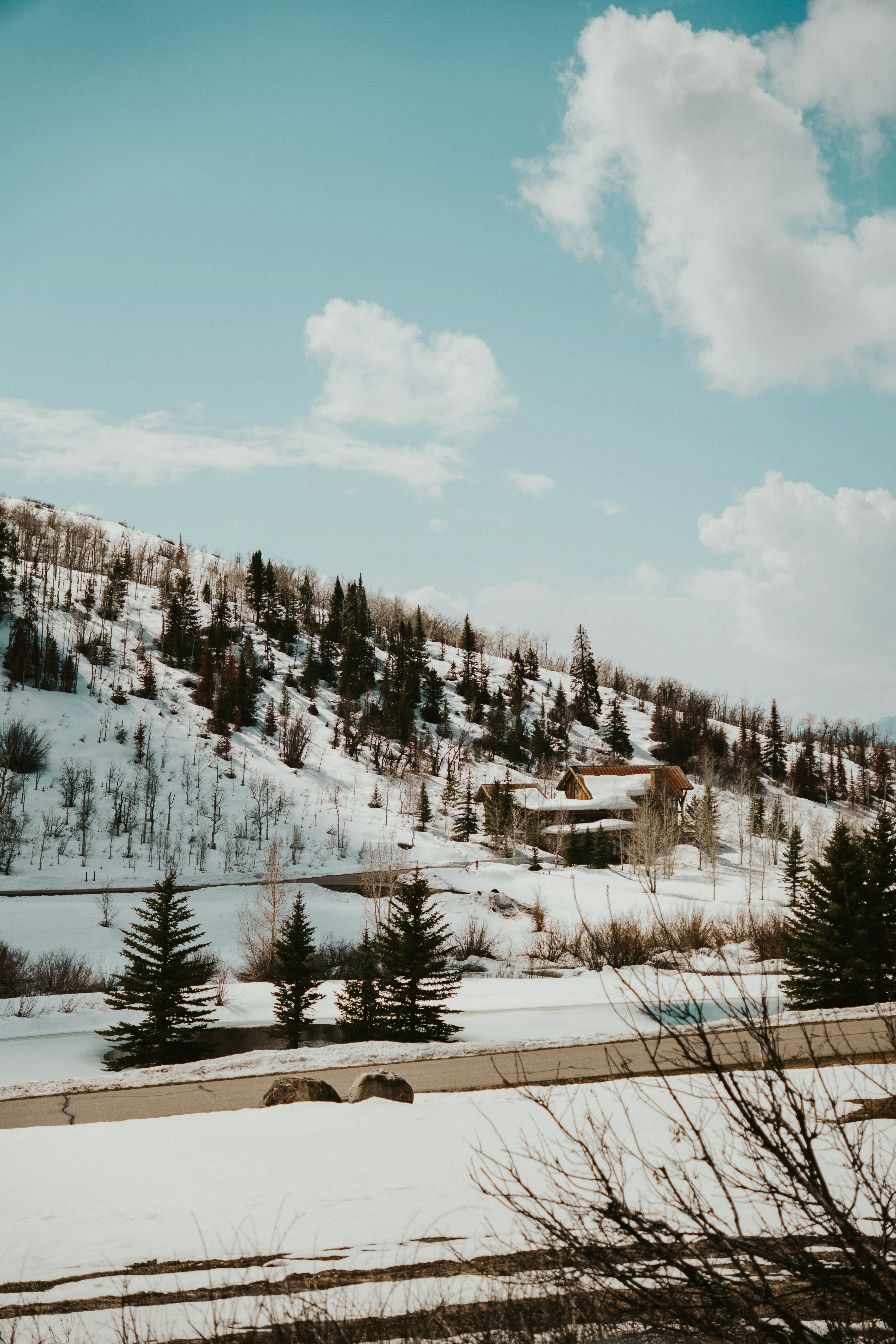 Photo by nickfuentes_