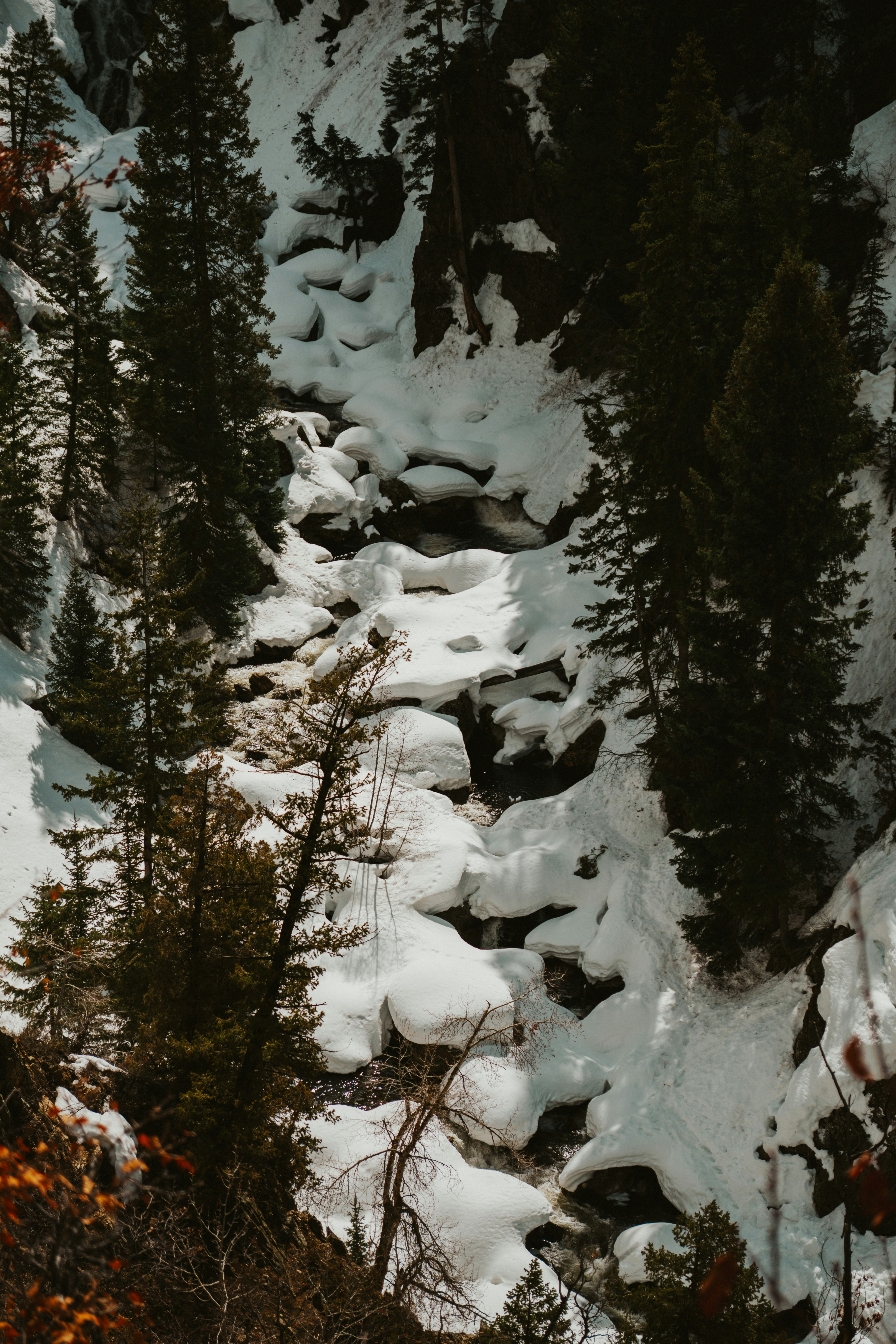 Photo by nickfuentes_