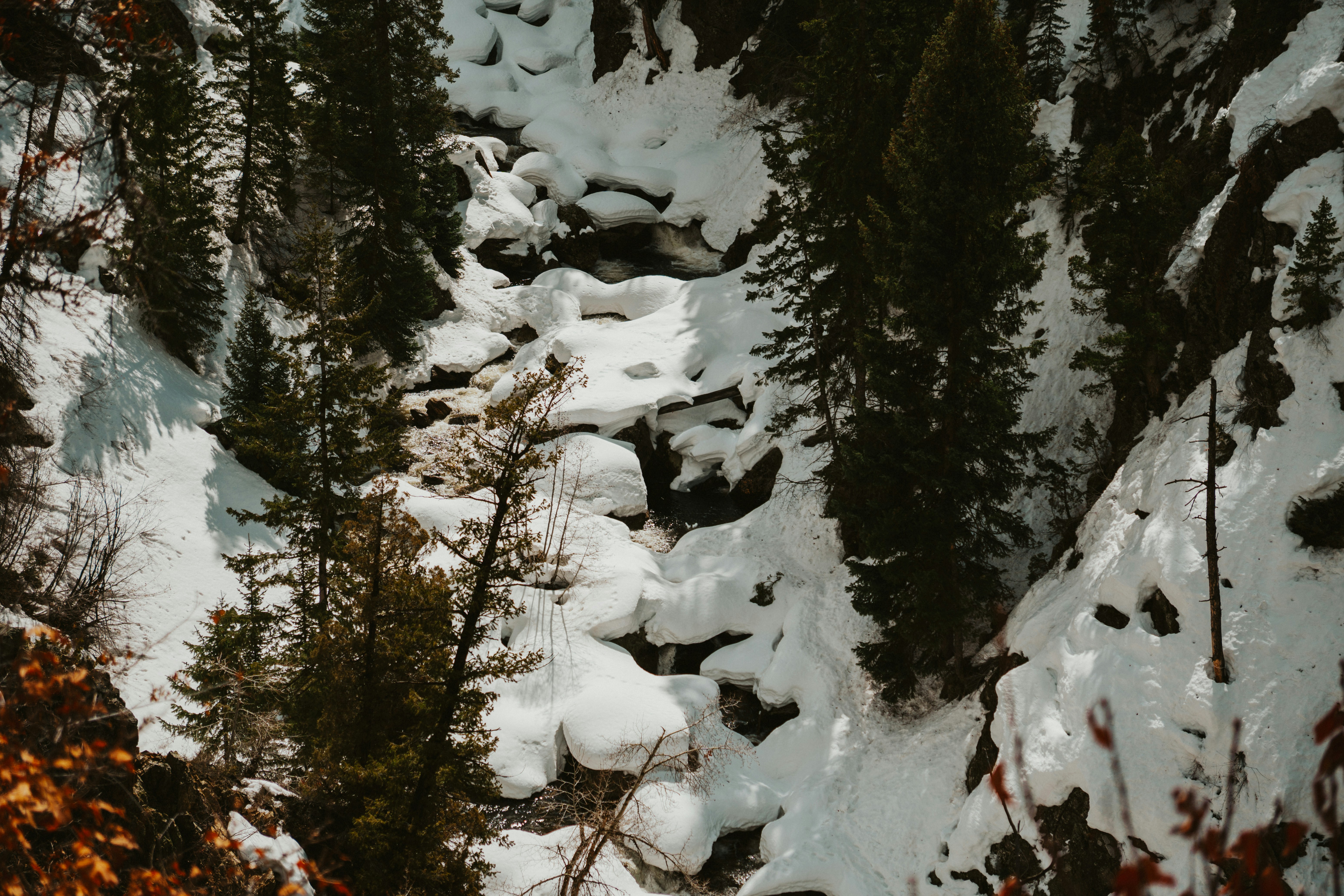 Photo by nickfuentes_